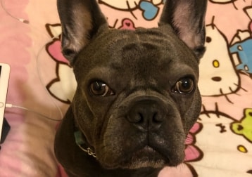Eugene