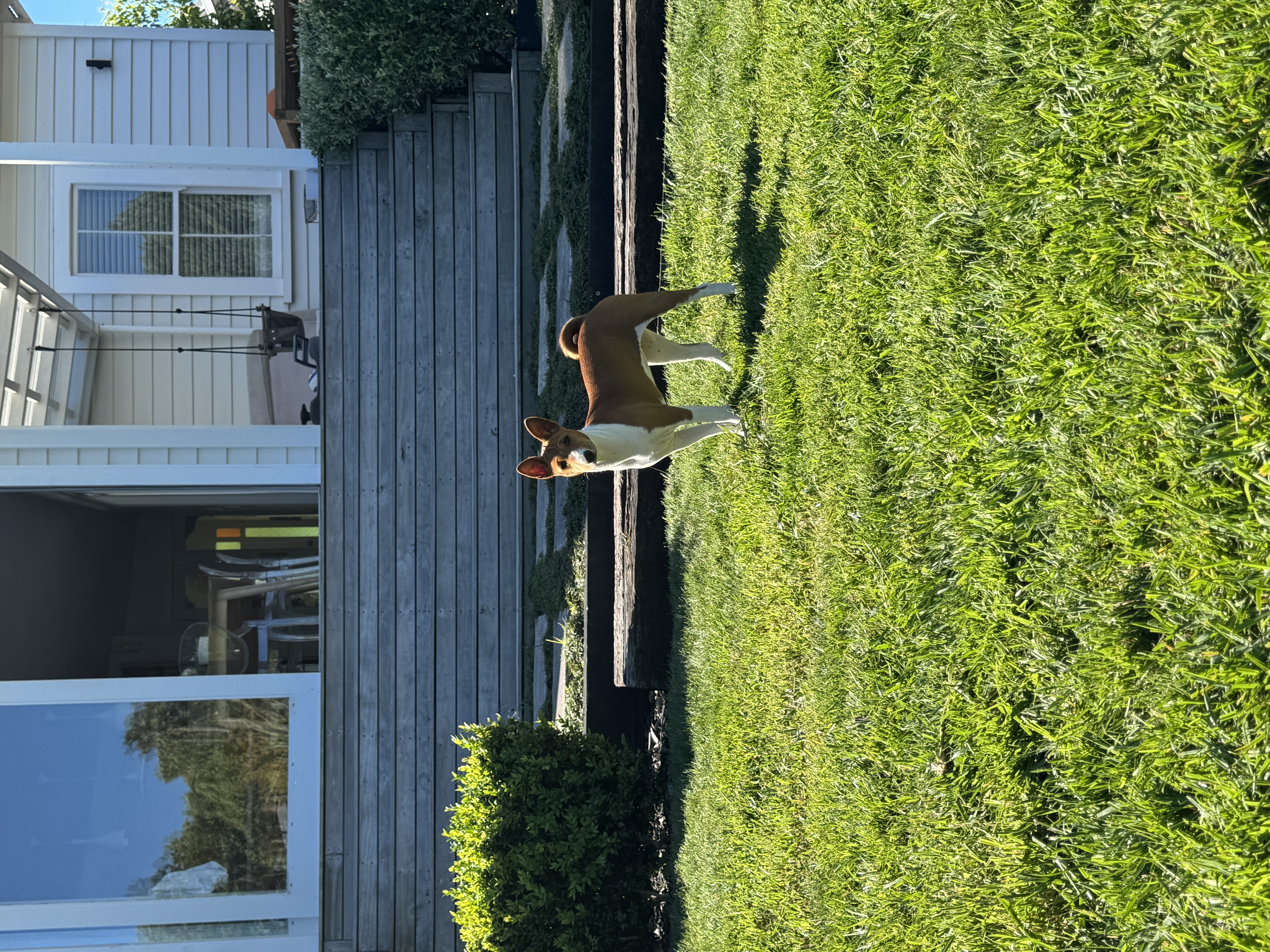 image-12