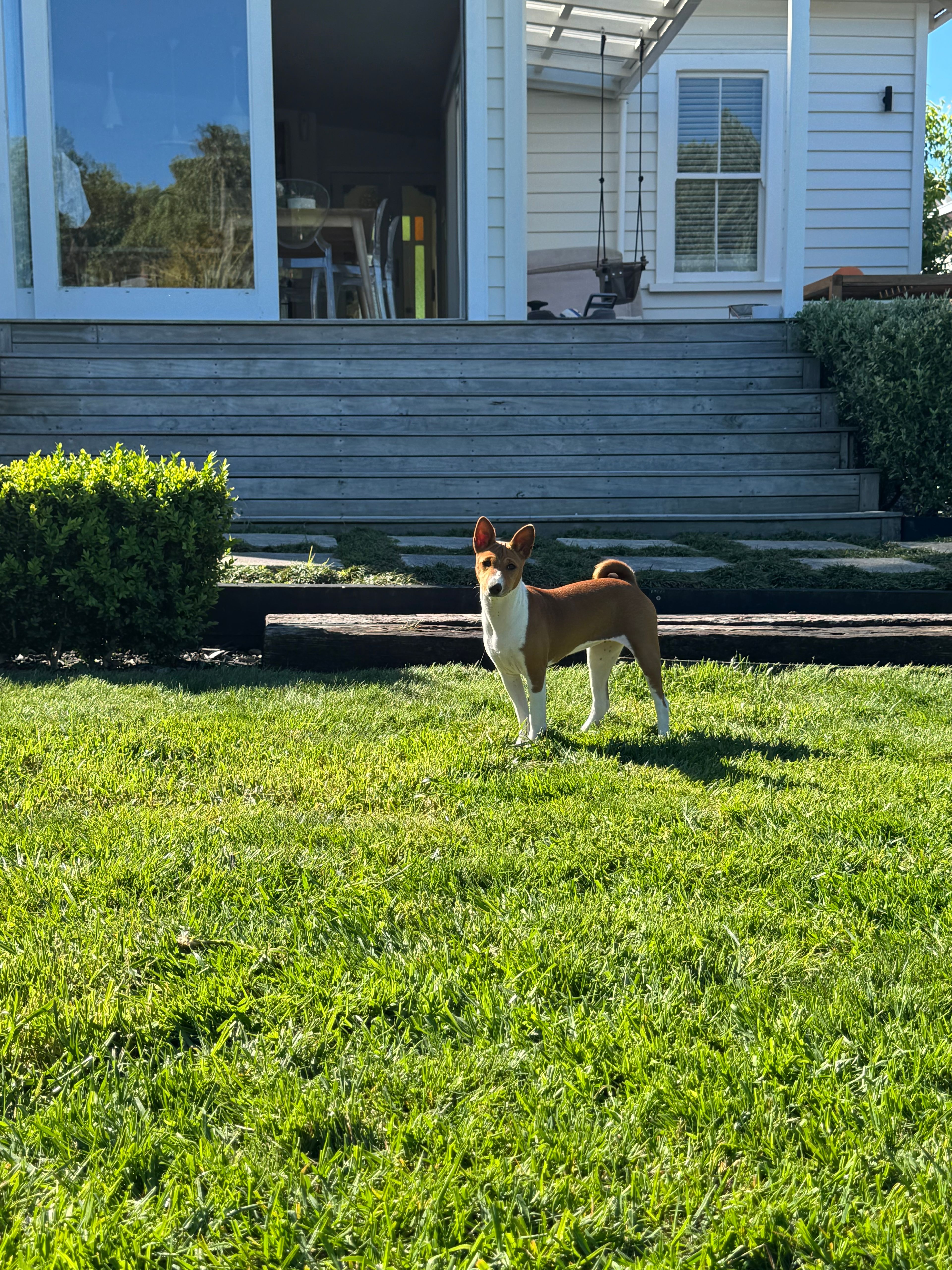 image-12