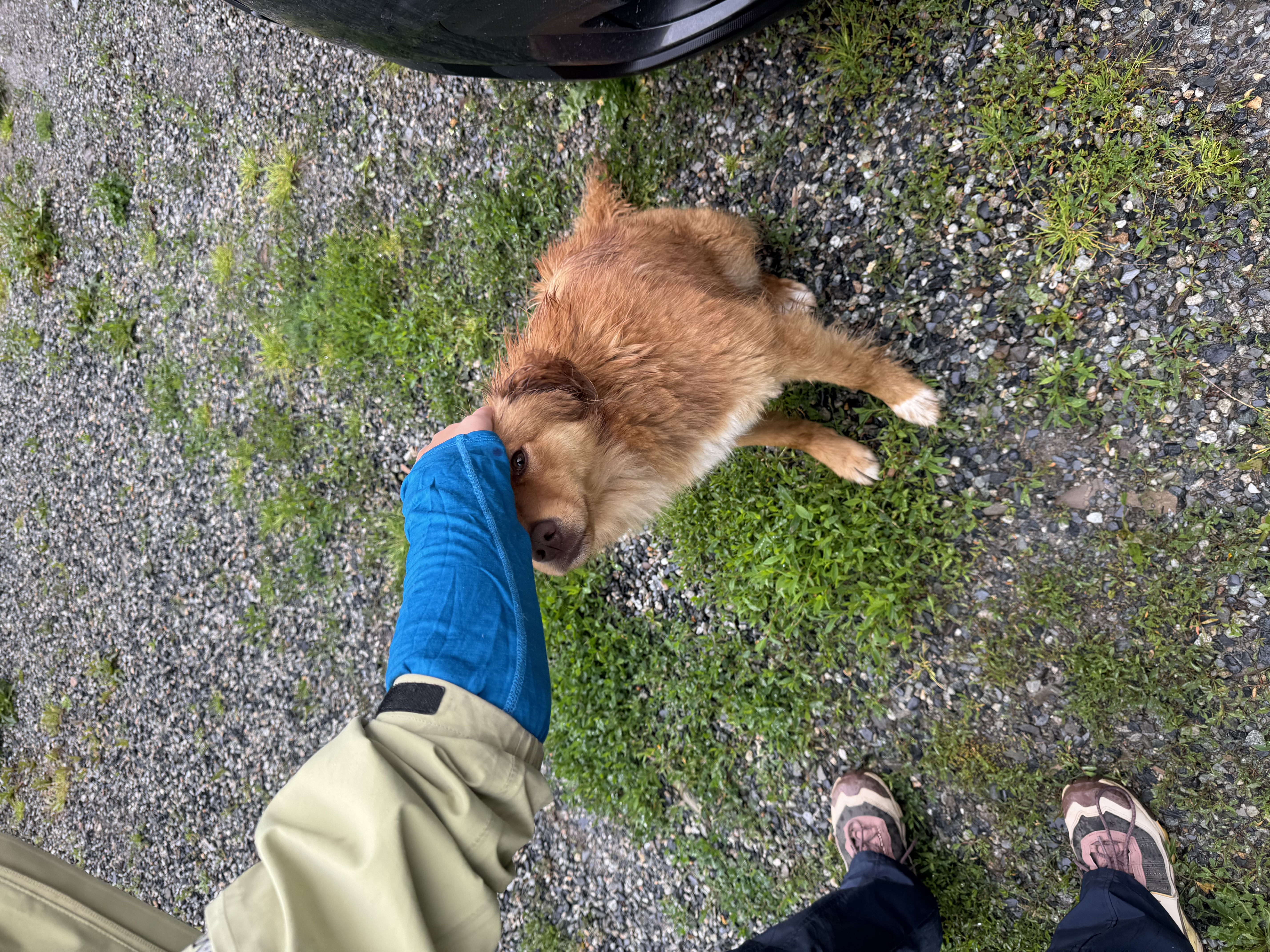 image-8