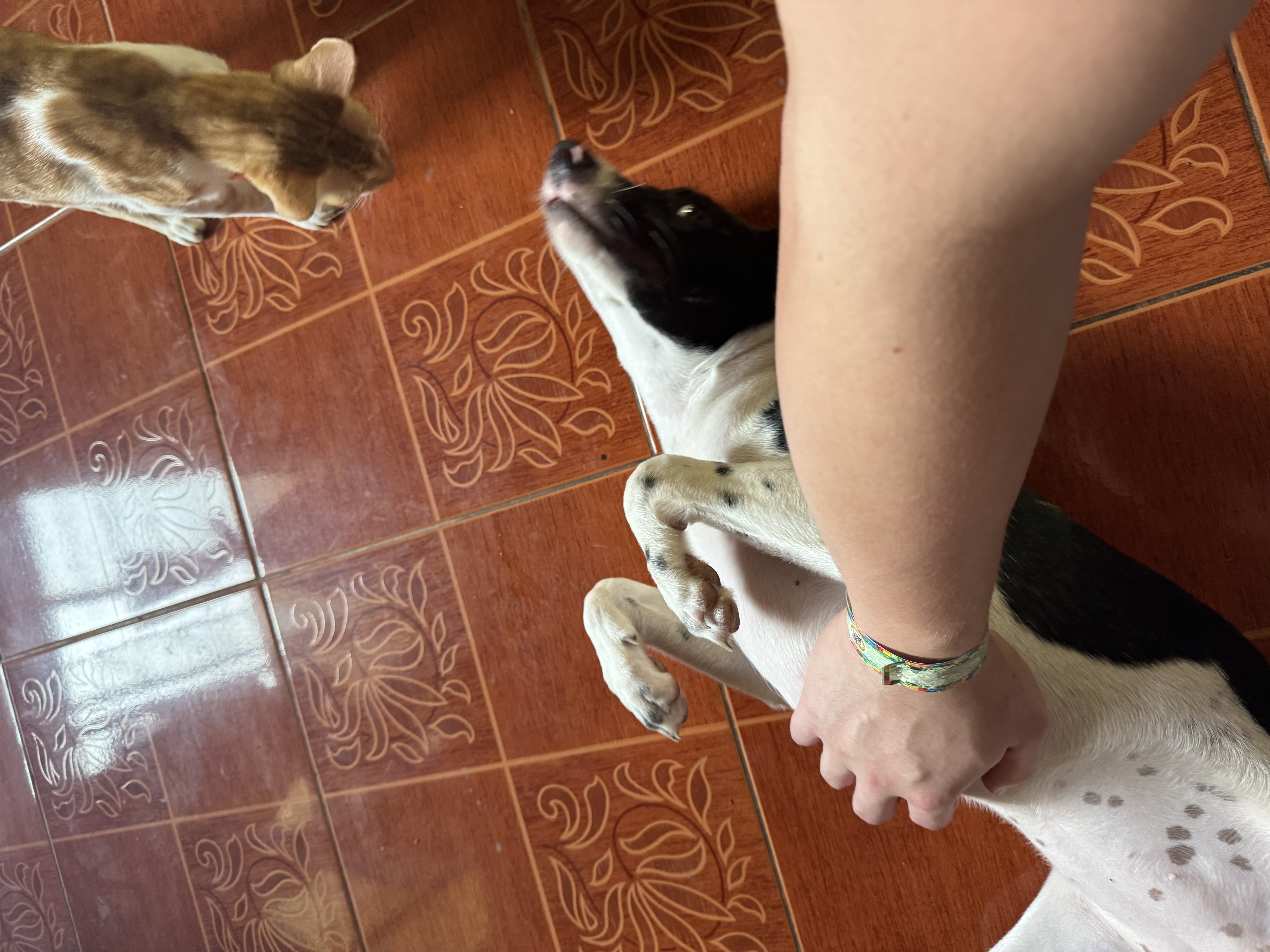 image-5