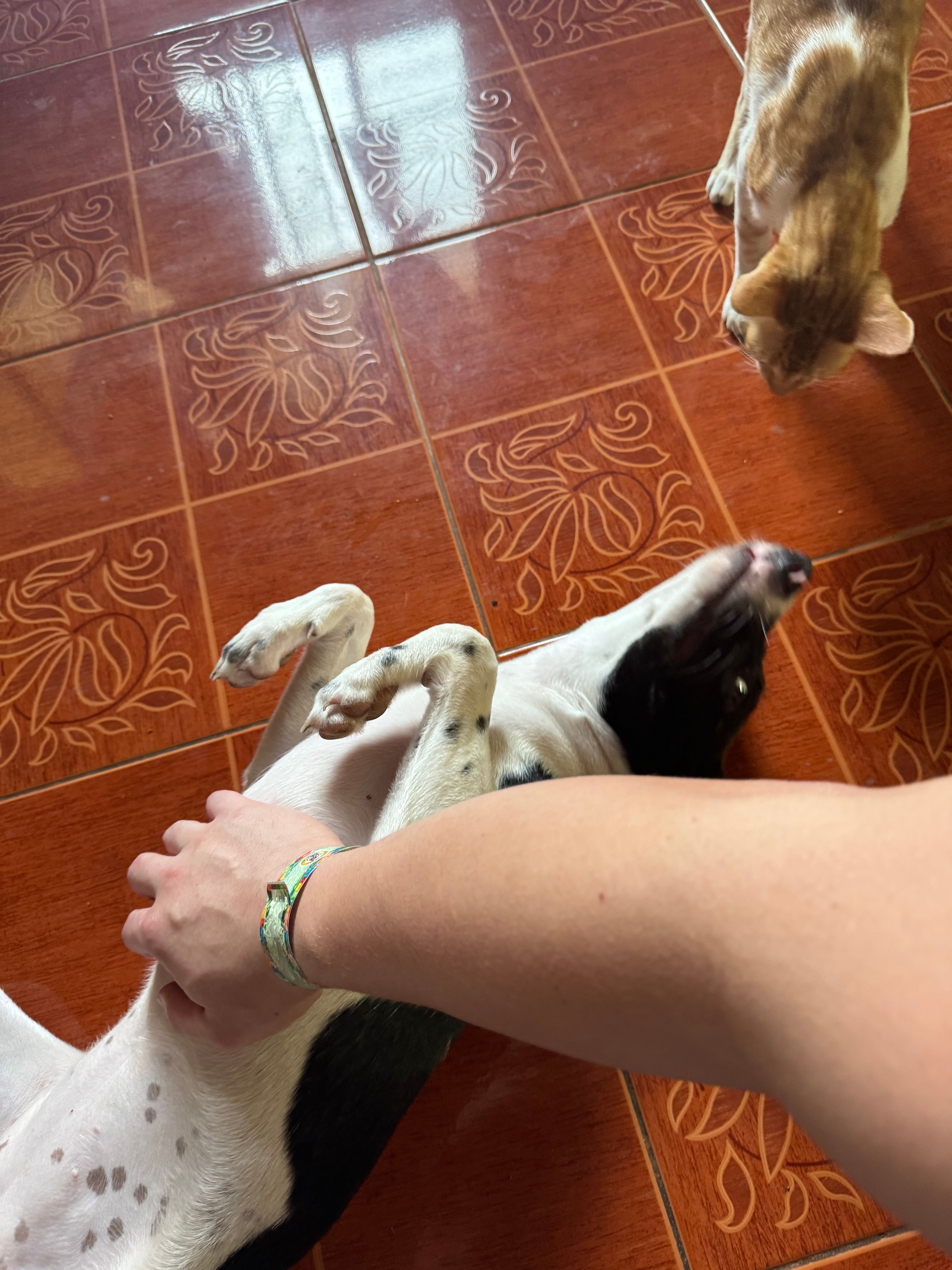 image-5
