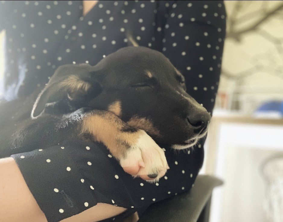 image-20