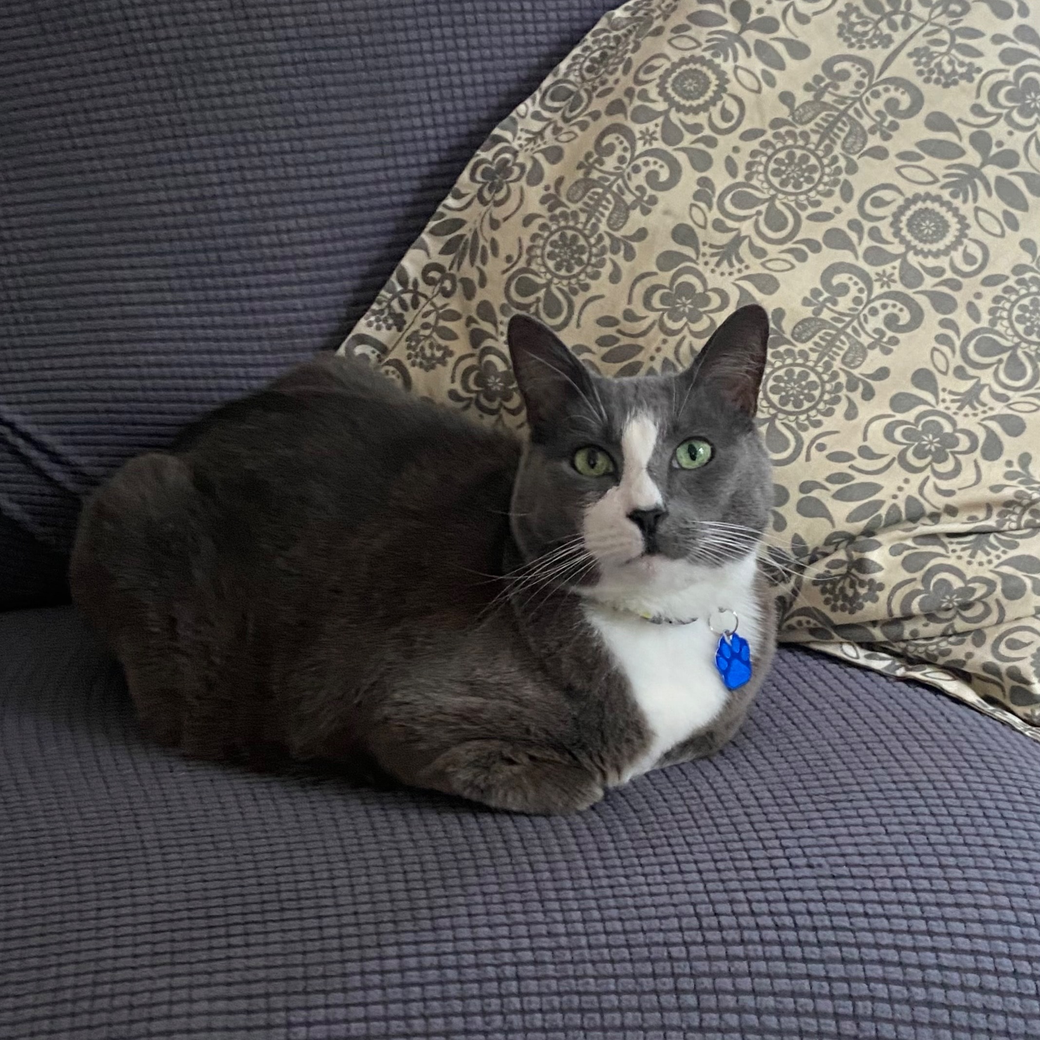 Blu