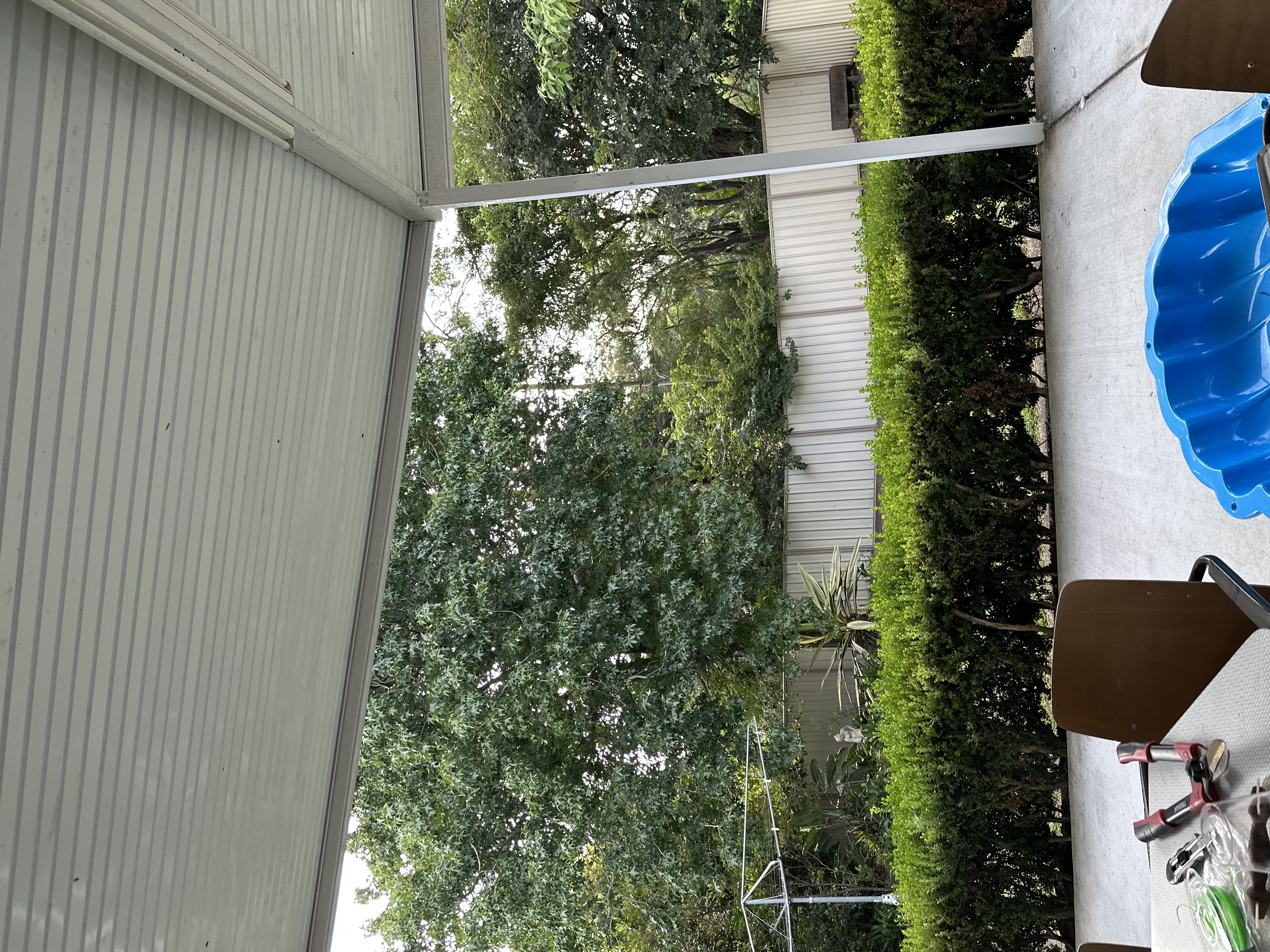 image-15