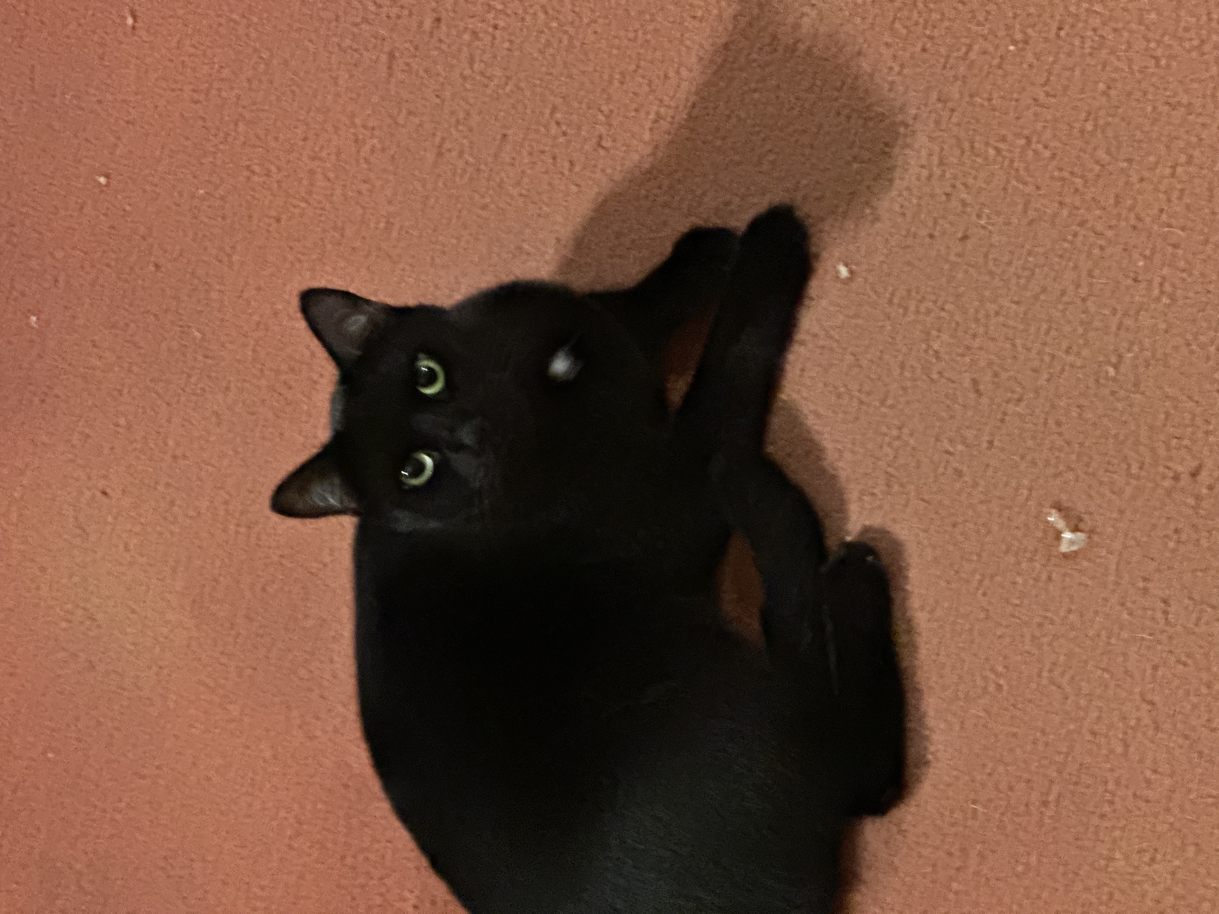 image-6