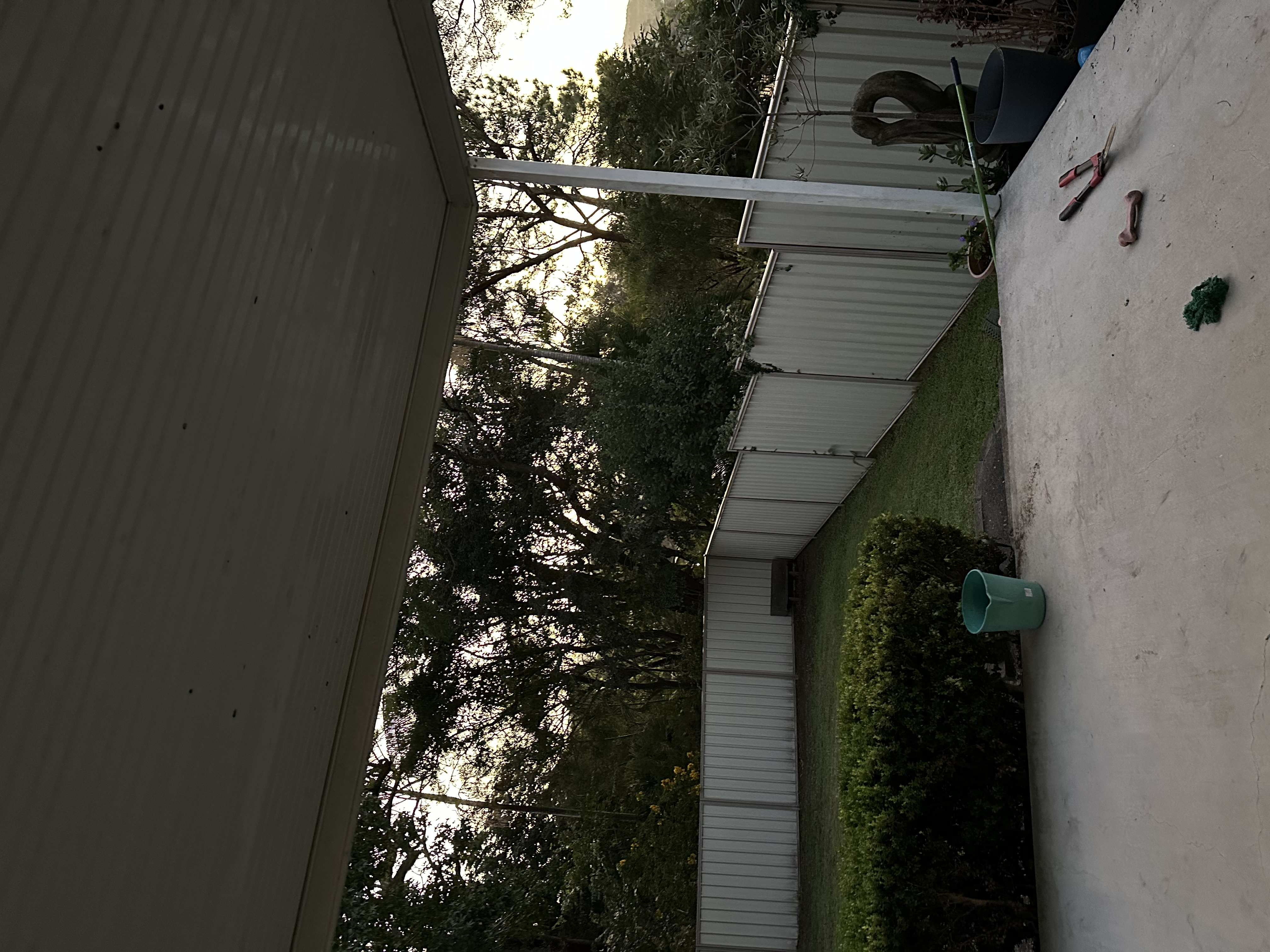 image-10