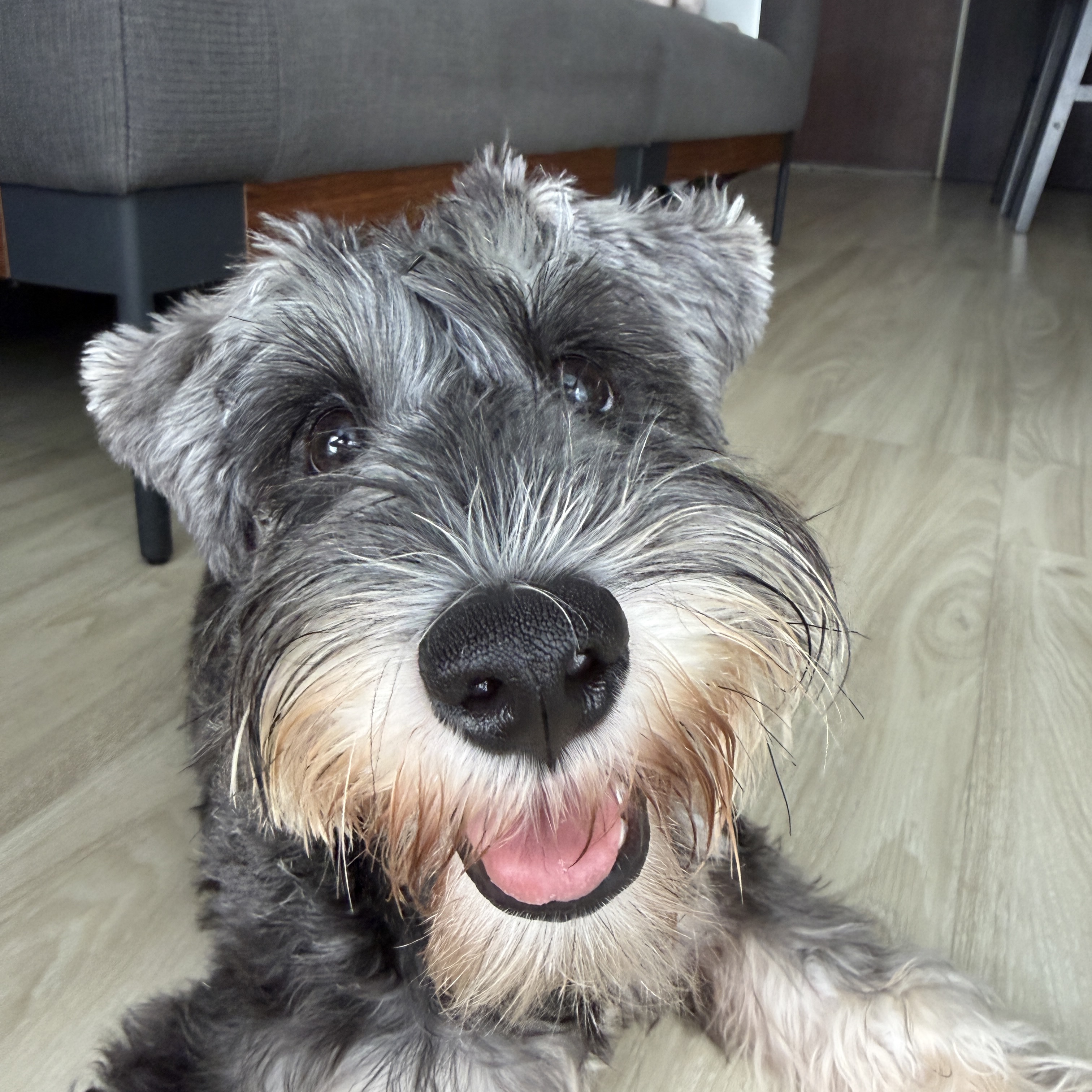 Floppy