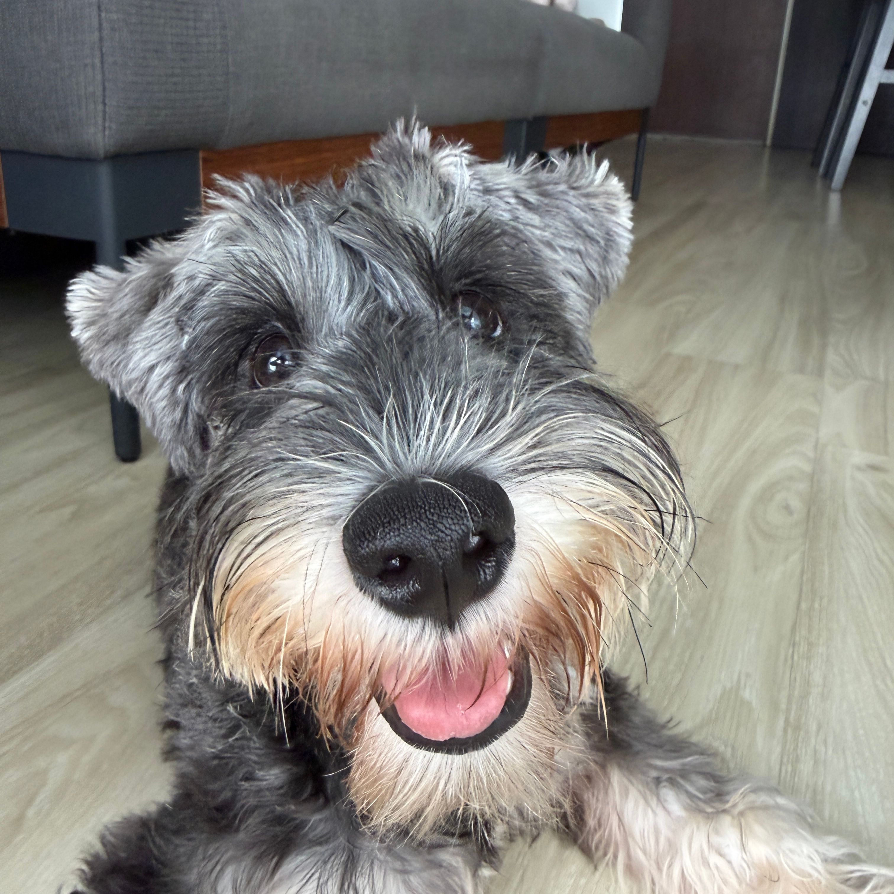Floppy