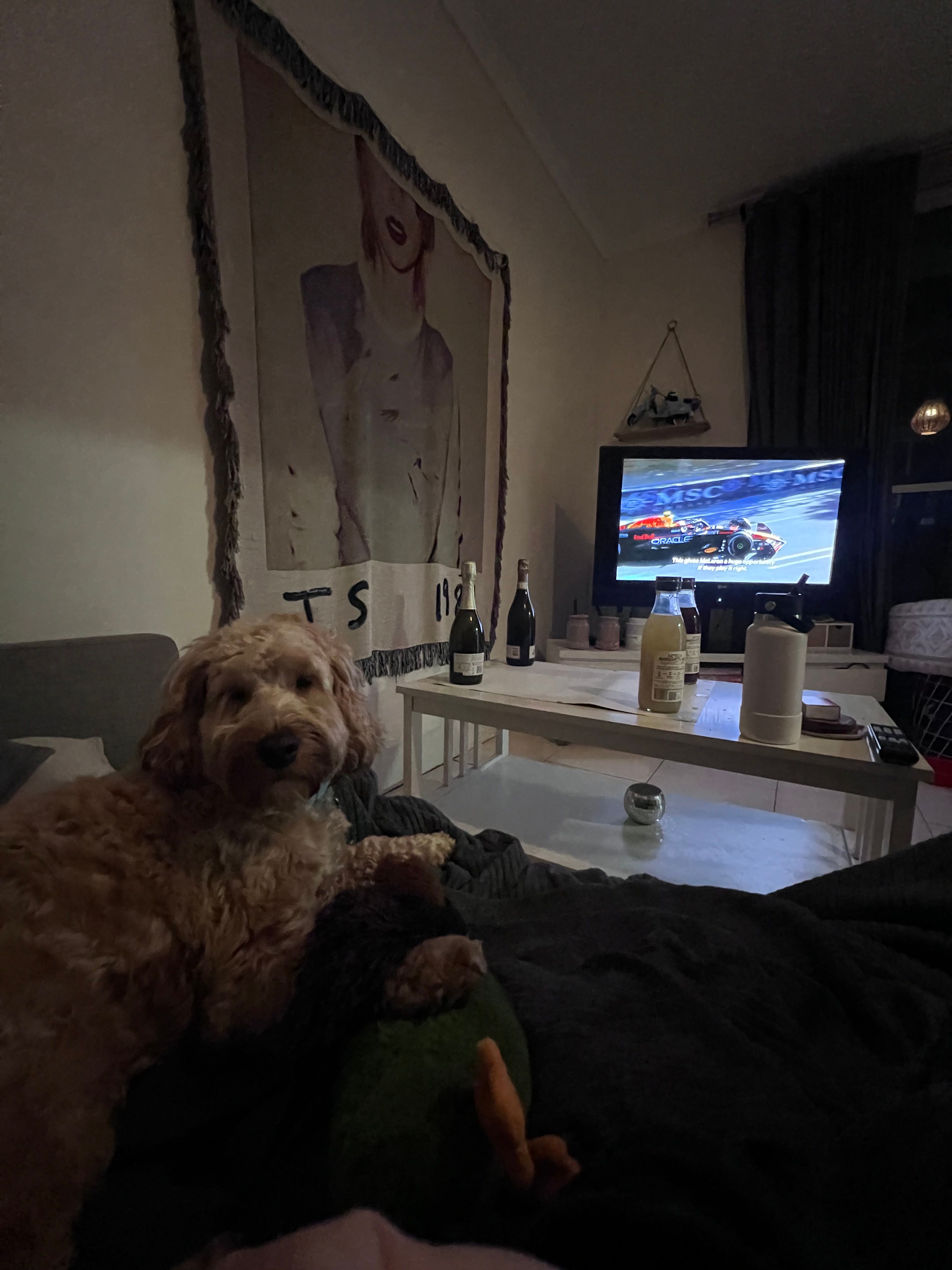image-11