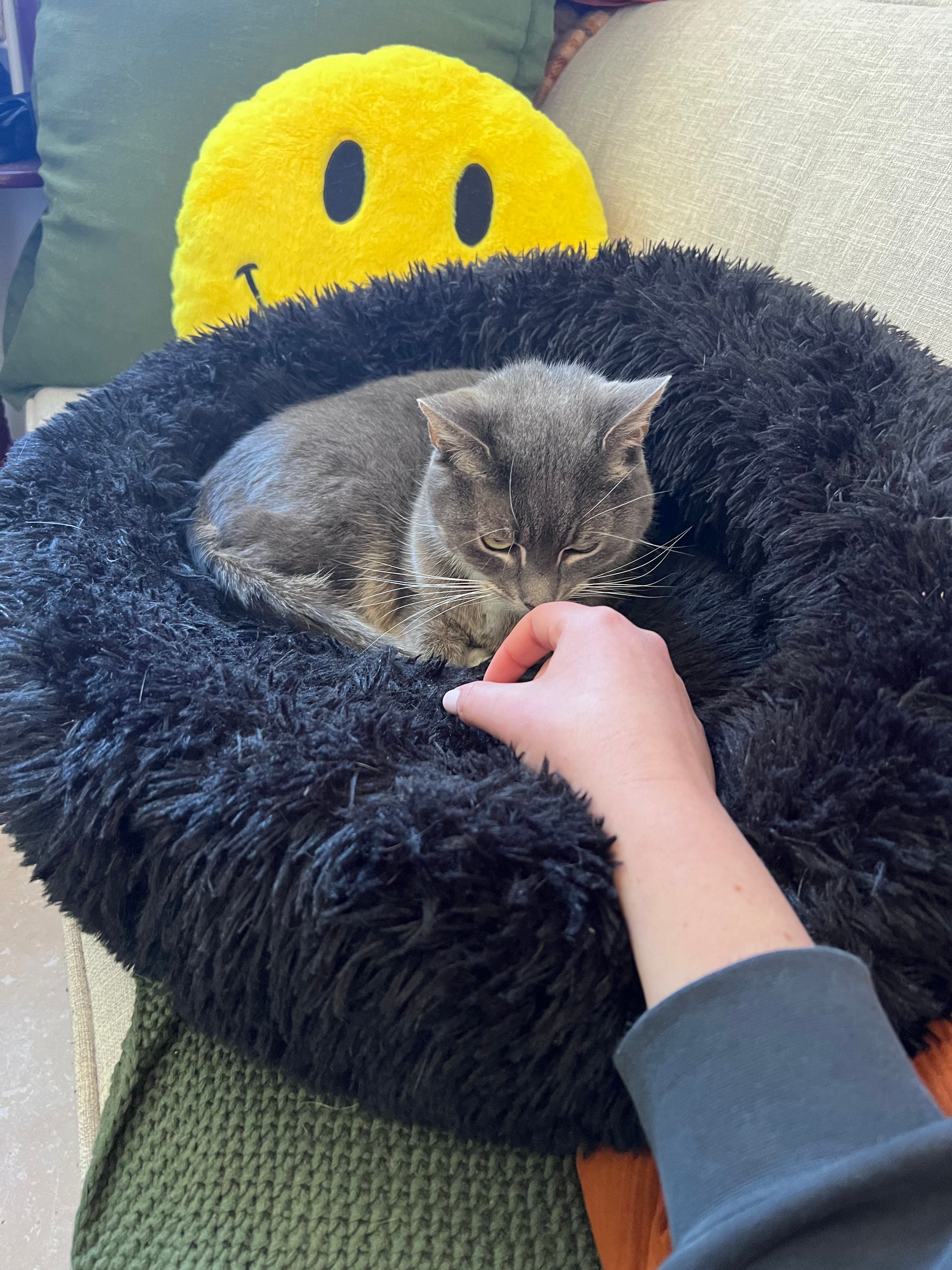 image-6