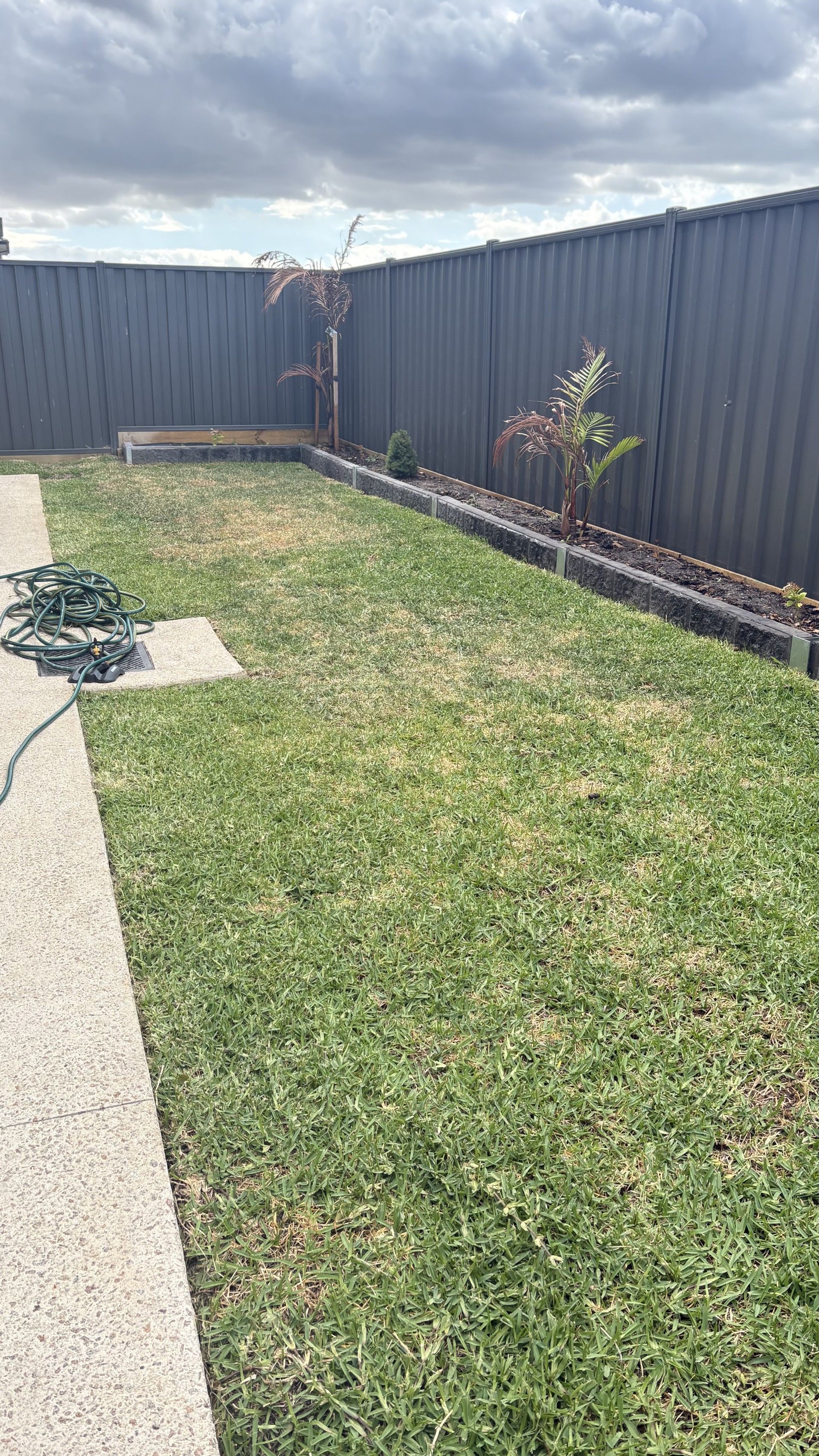 image-20