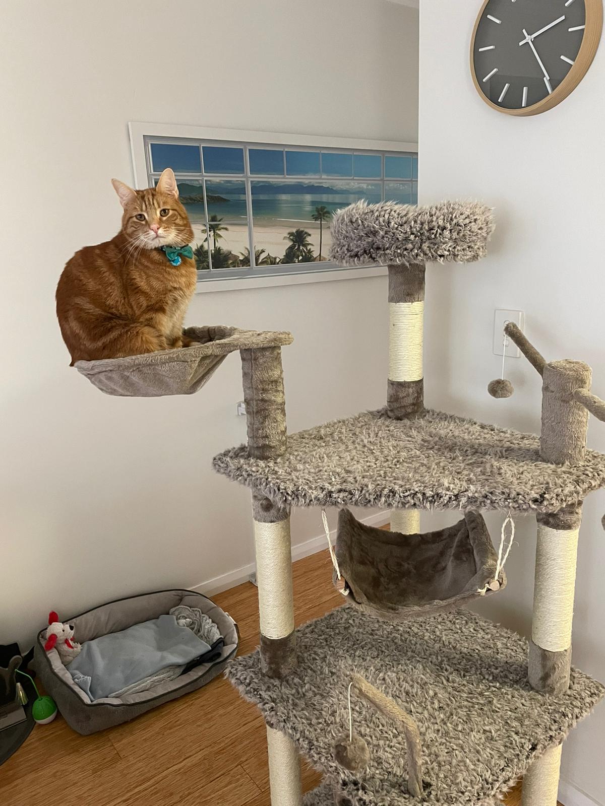 image-11