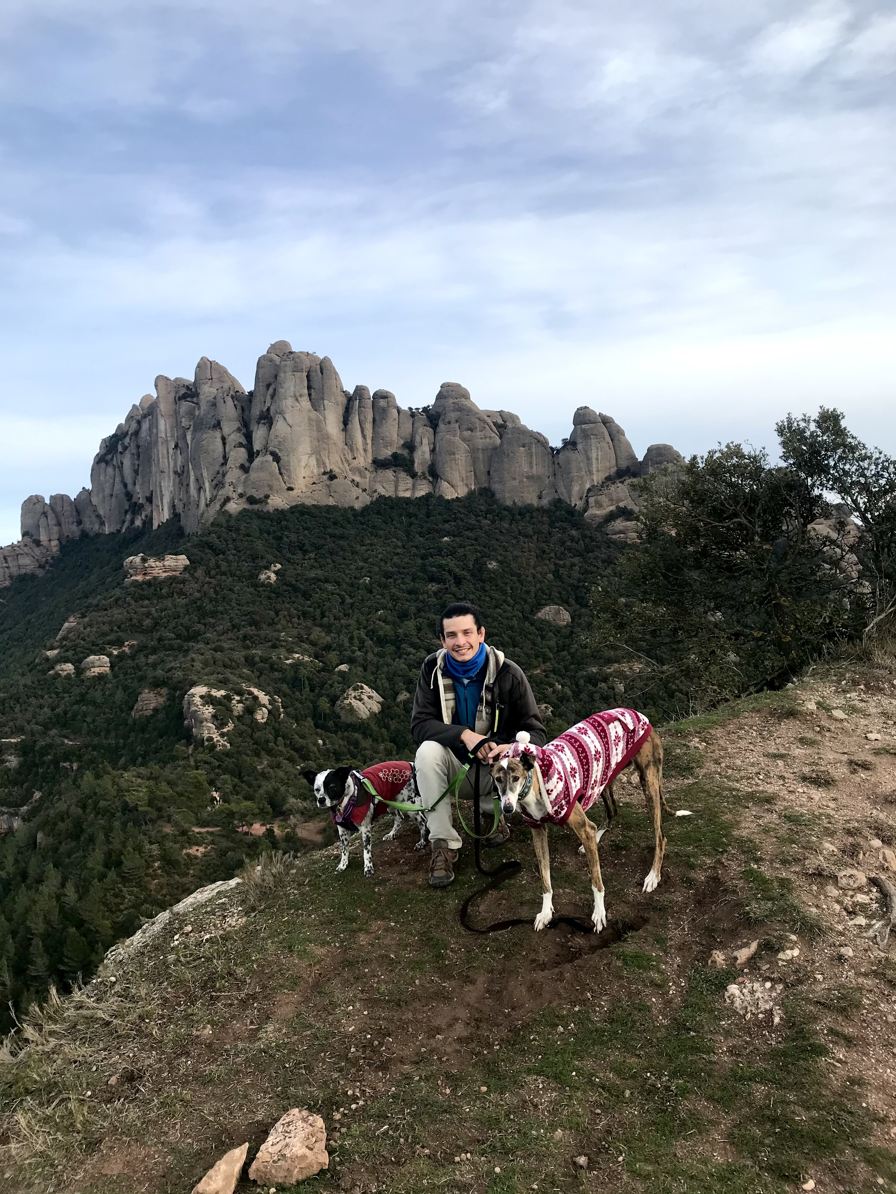 image-6