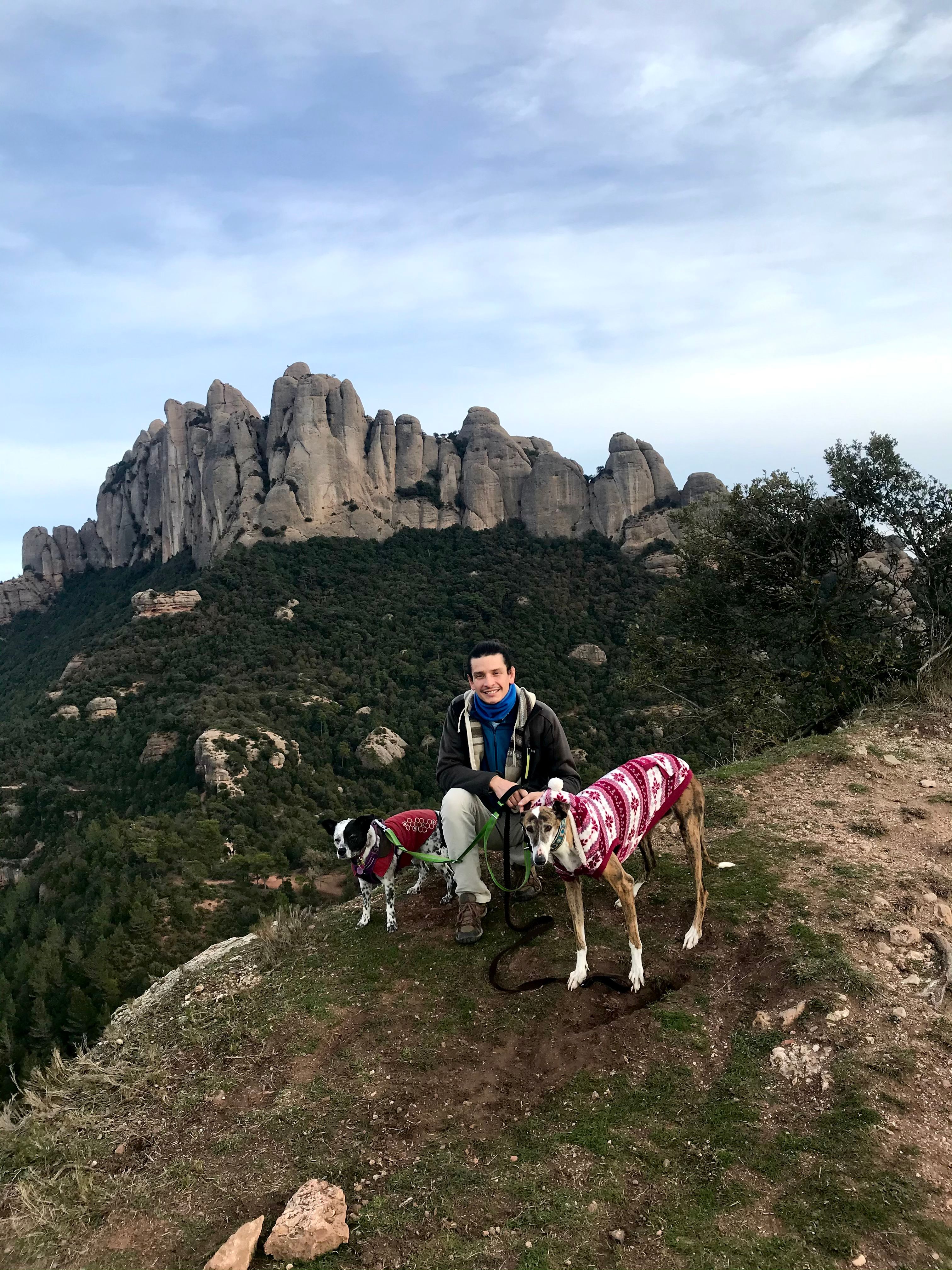 image-6