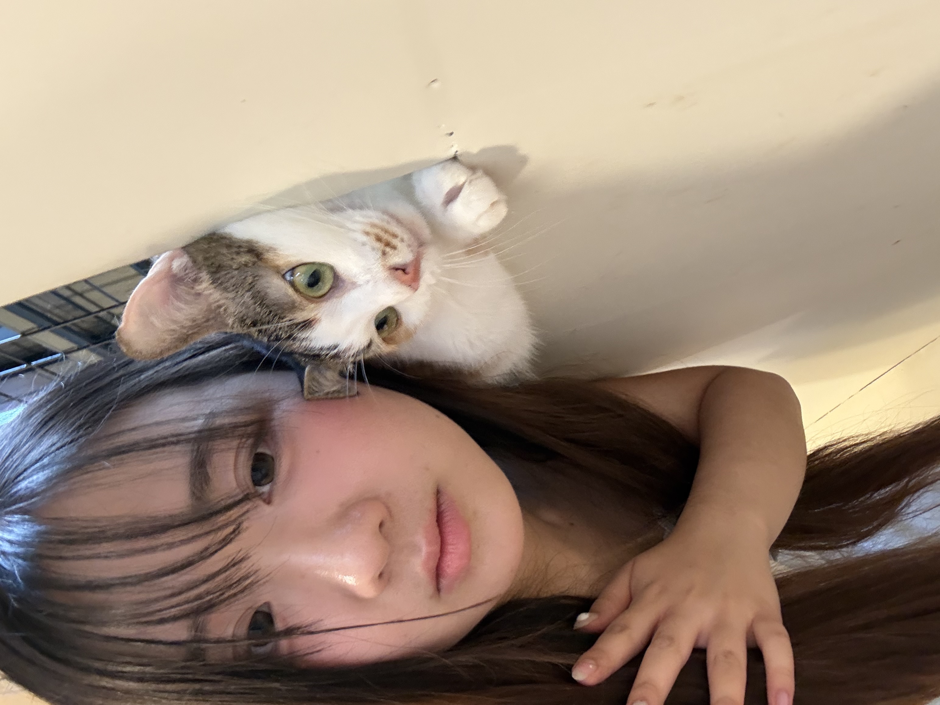 image-7