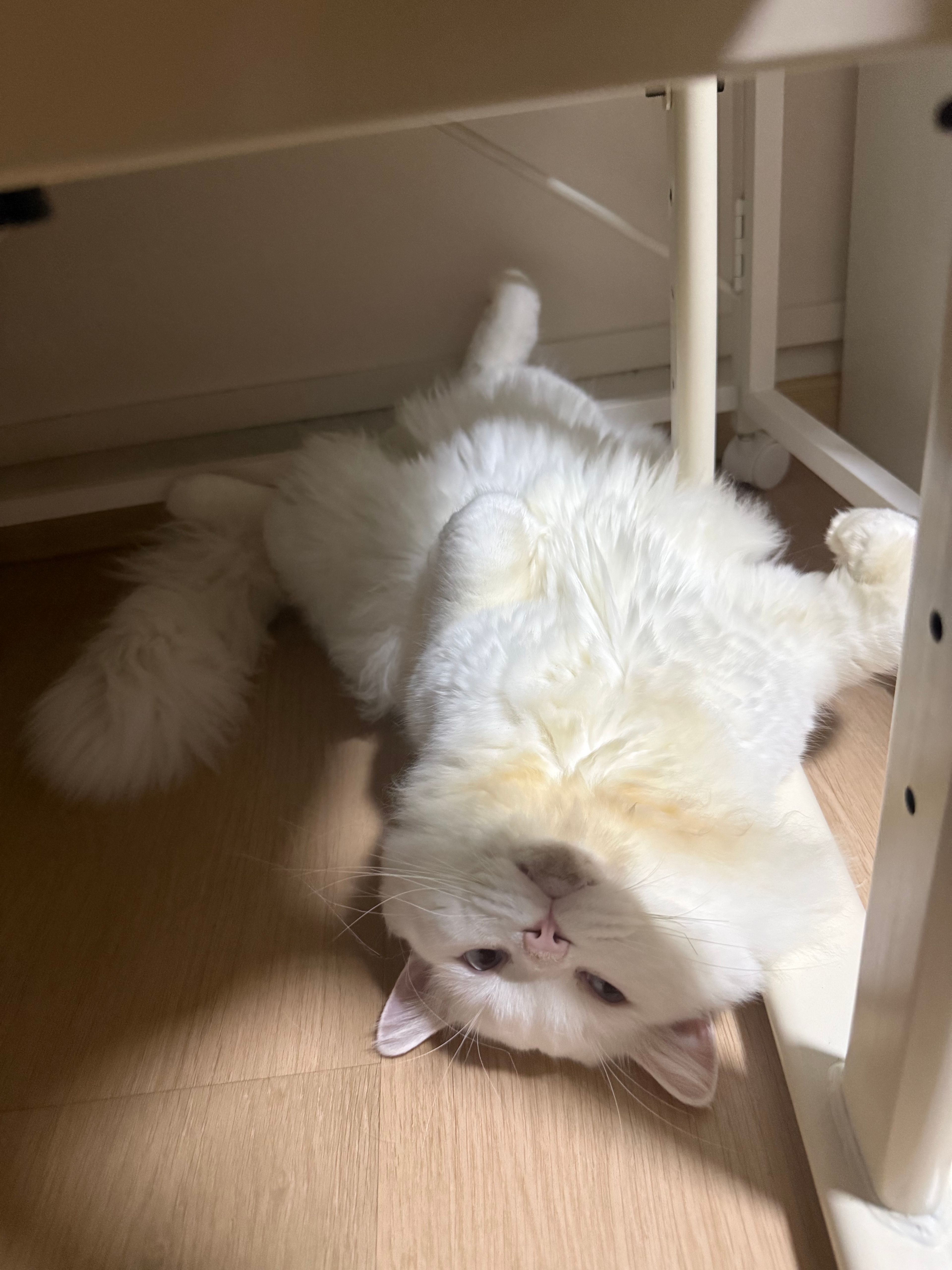 image-6