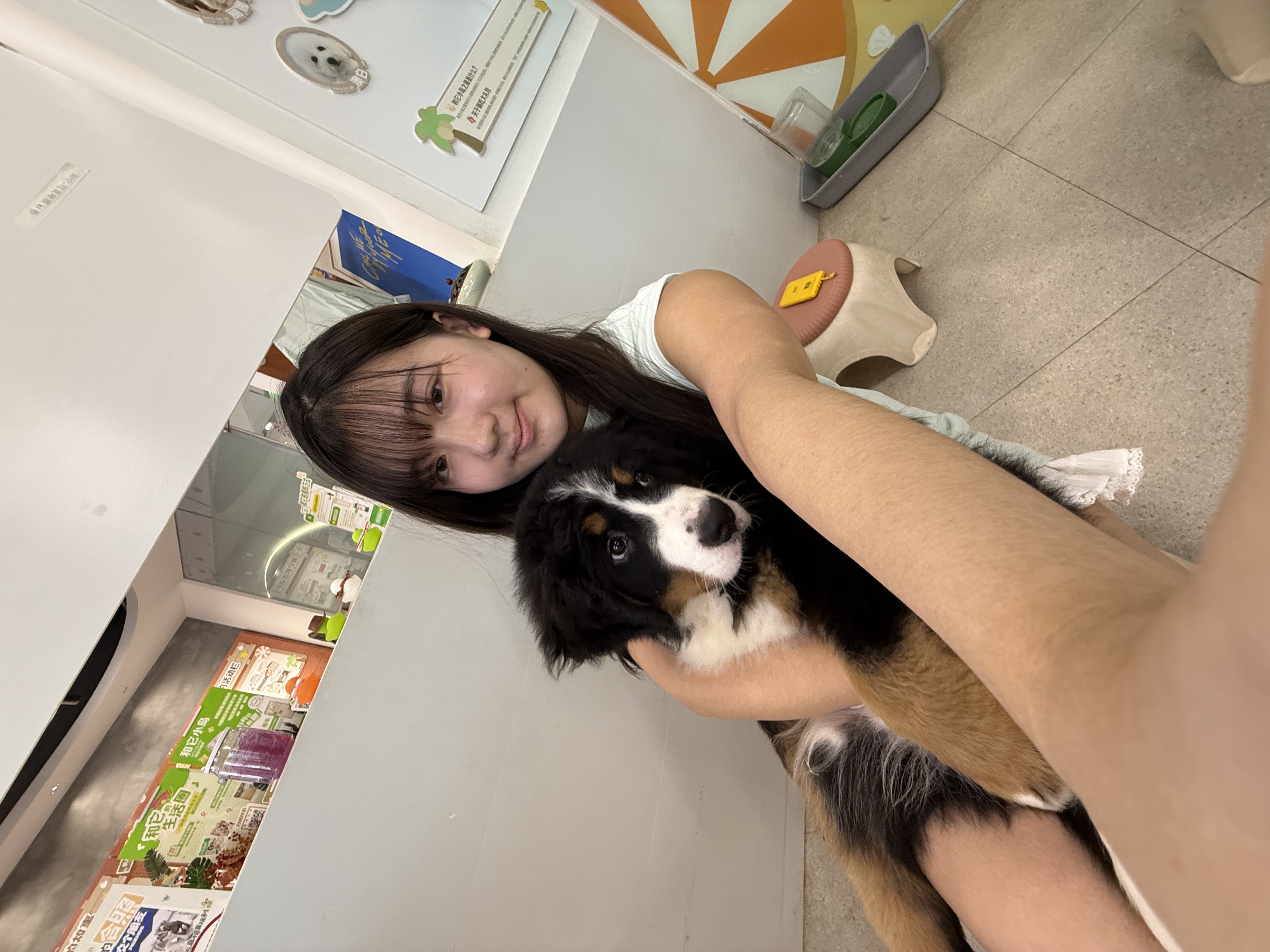 image-8