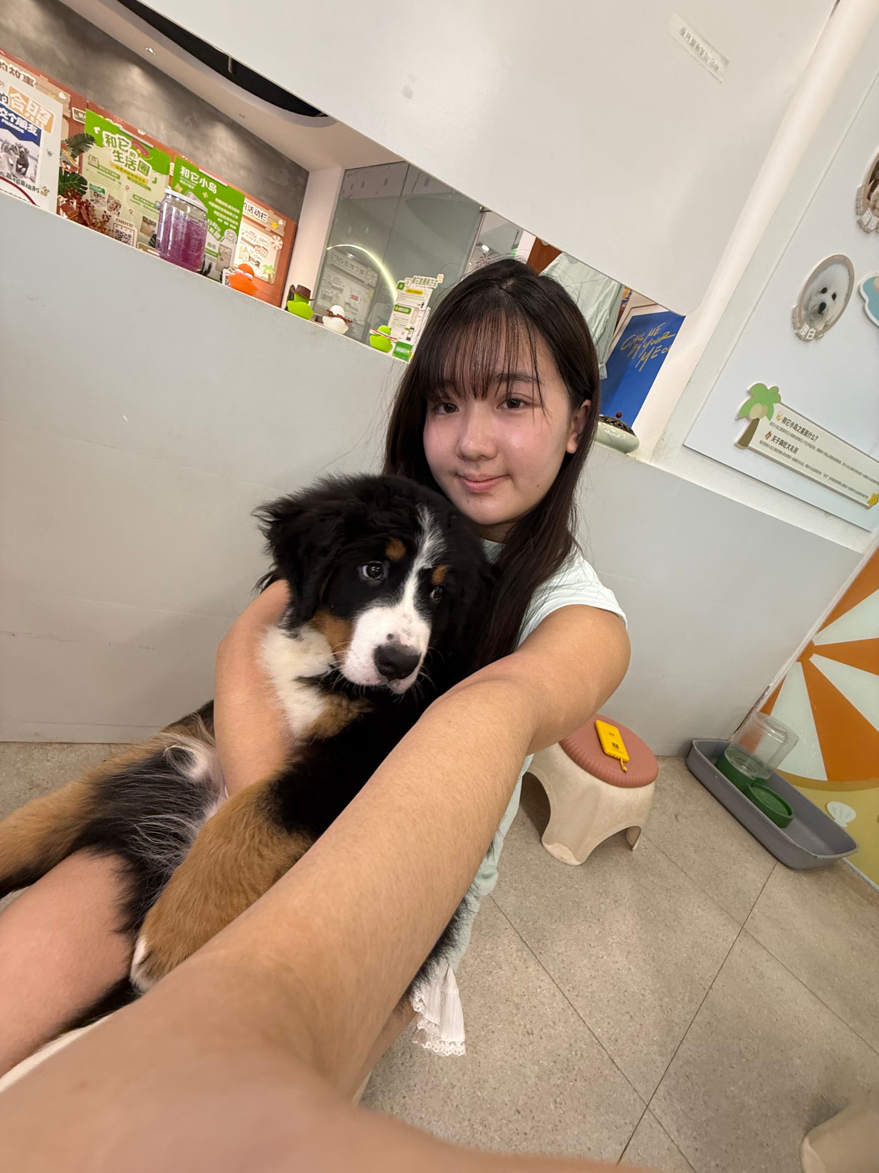 image-8