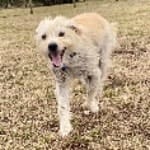 Sammy