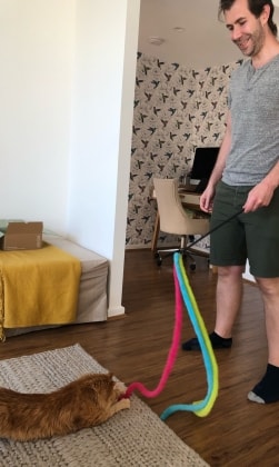 image-6