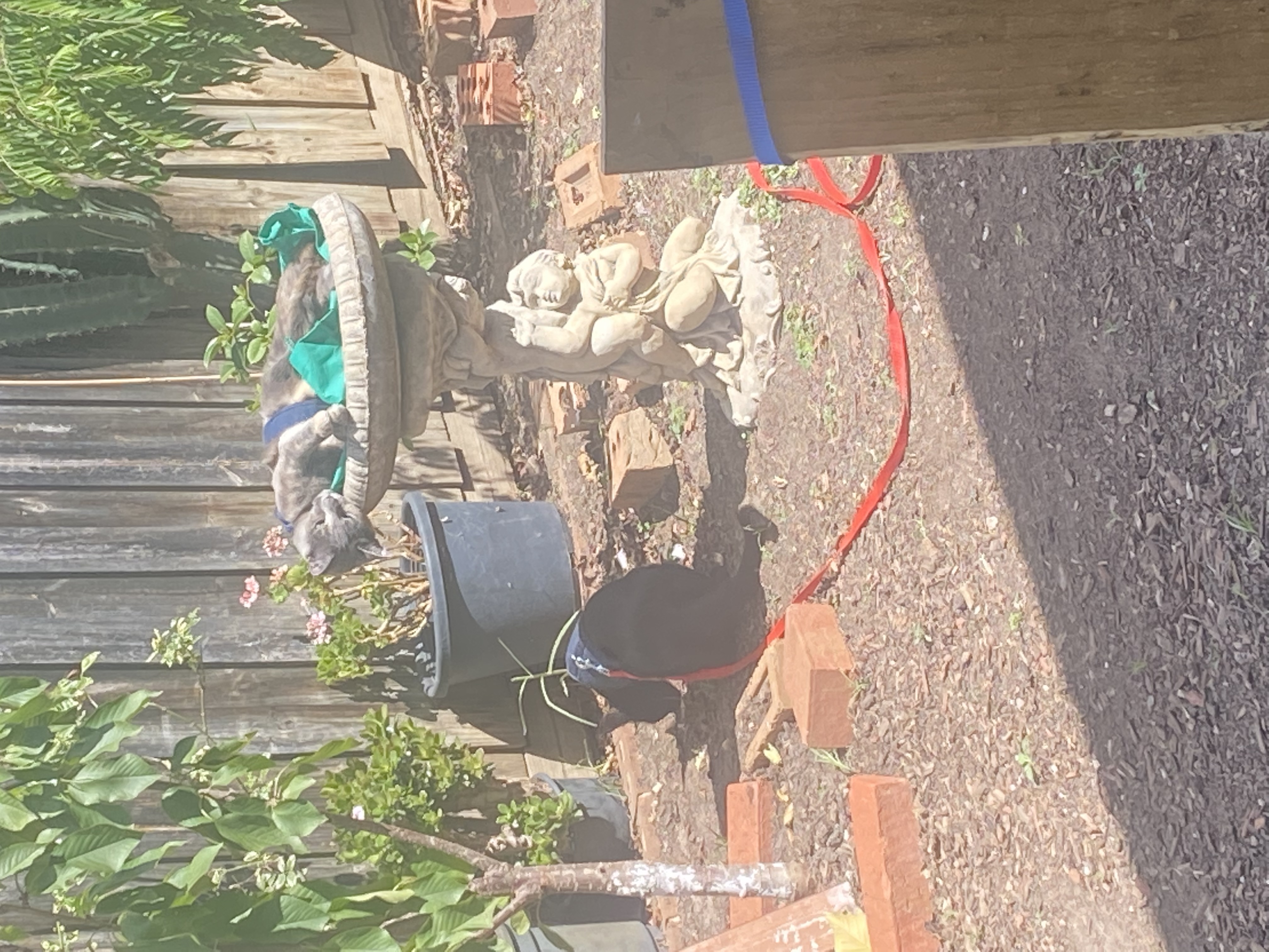 image-15