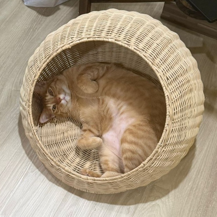 Tigger 