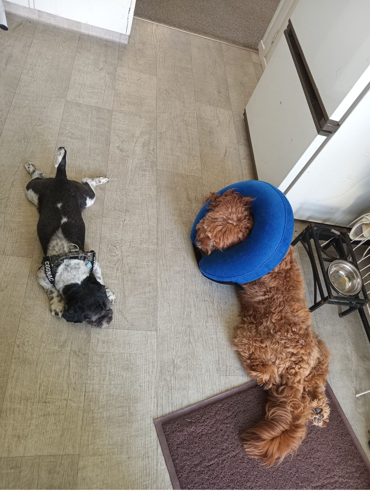 image-7