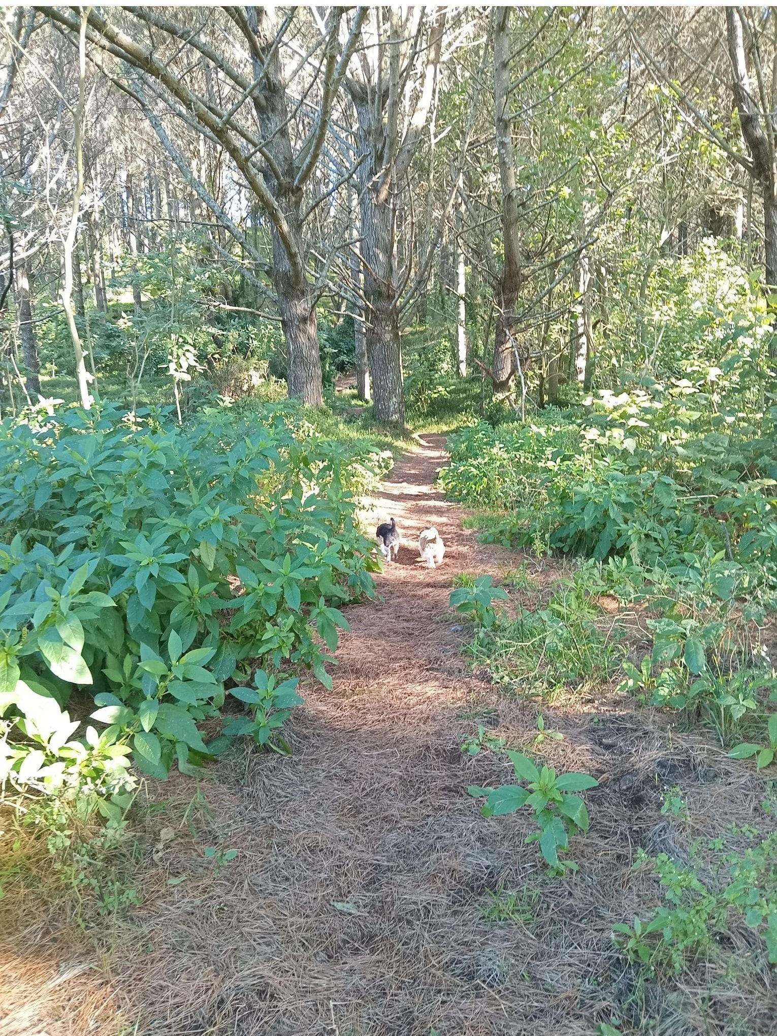image-9
