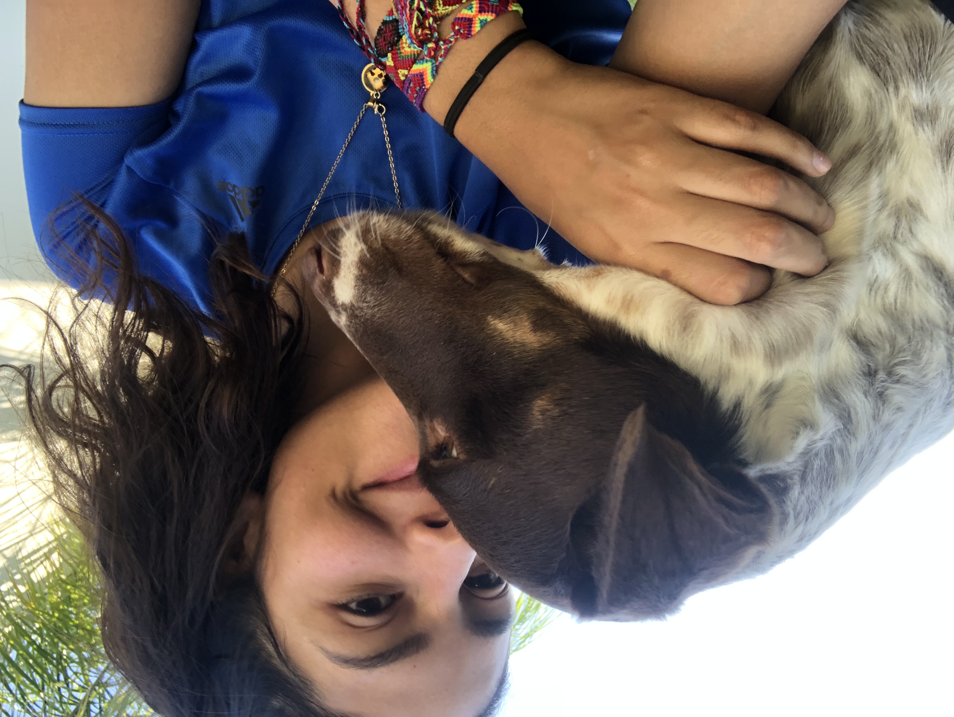 image-6