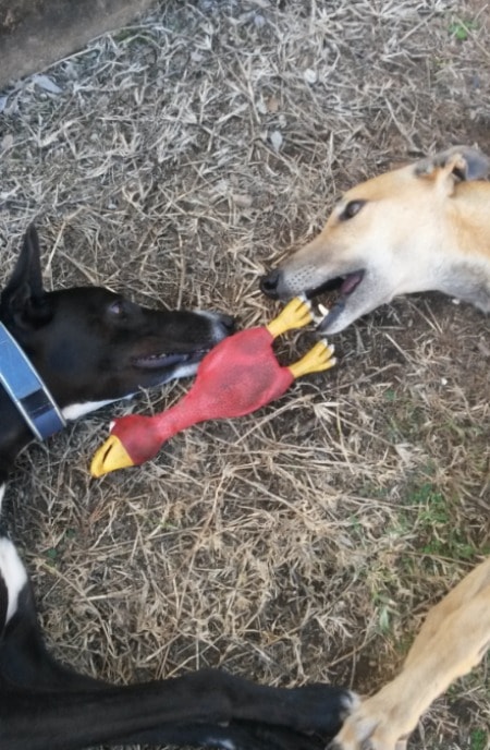 image-4