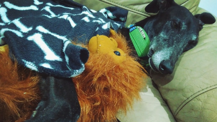 image-7