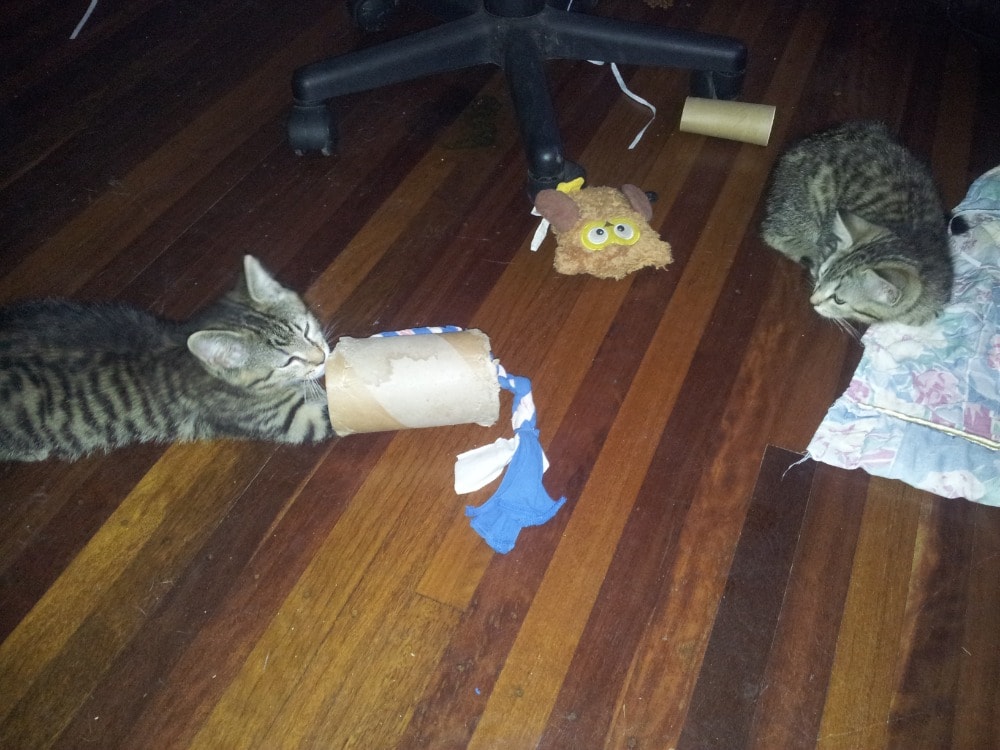 image-21
