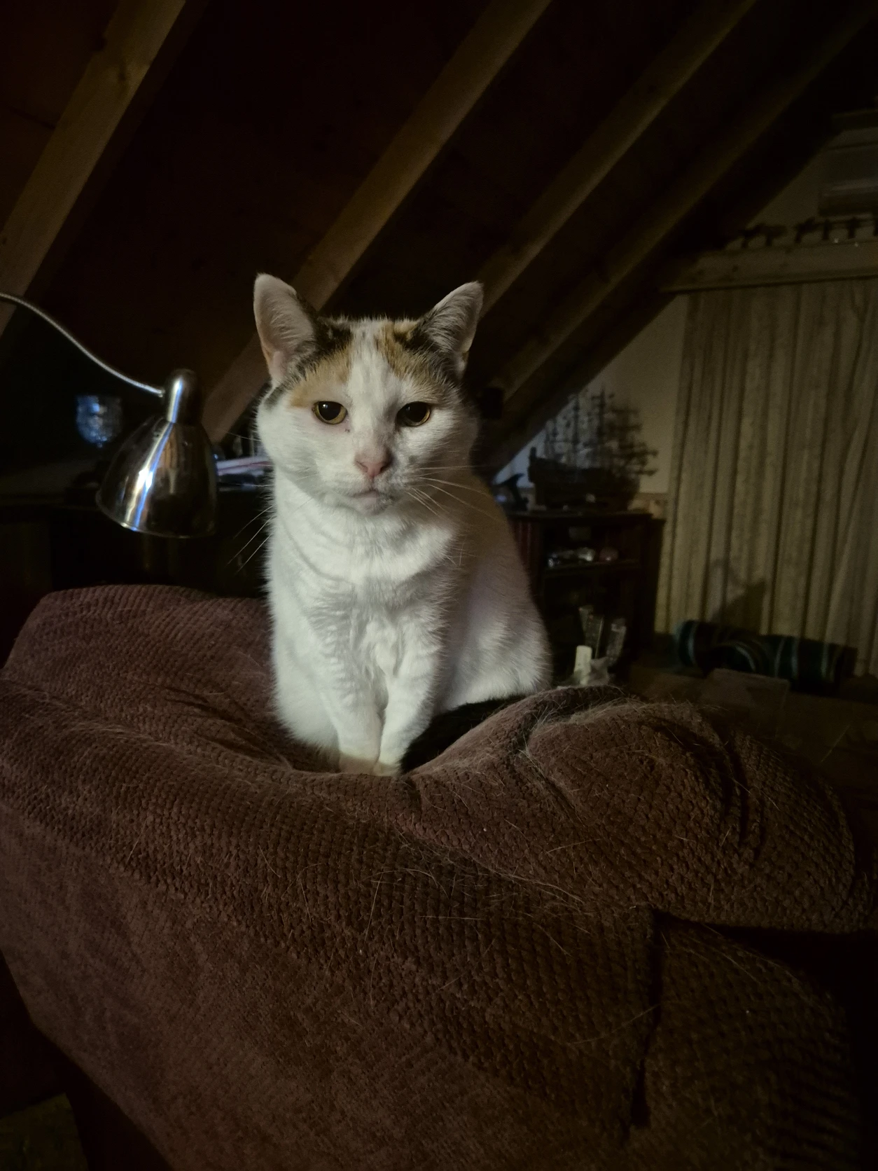image-9