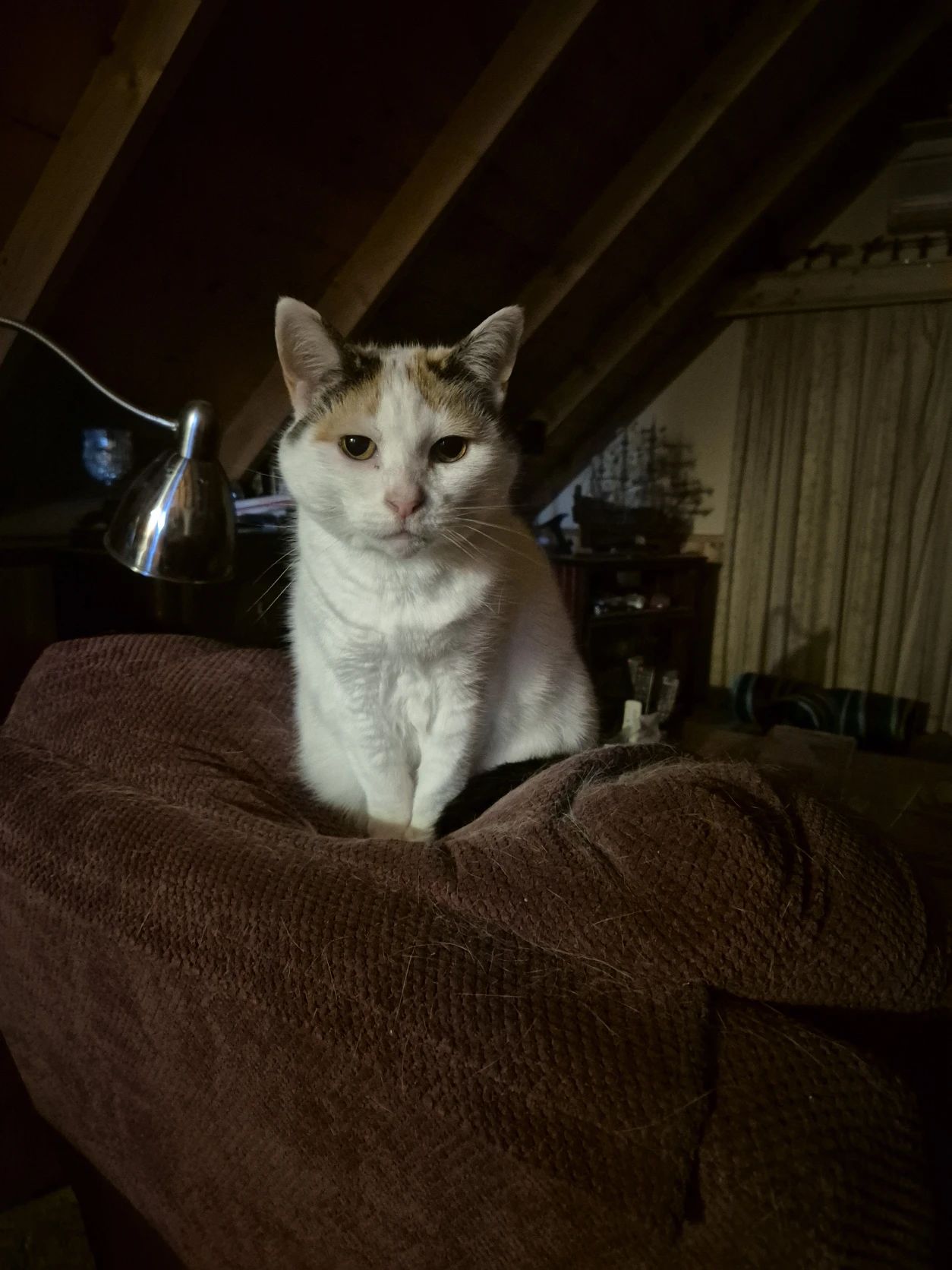 image-9