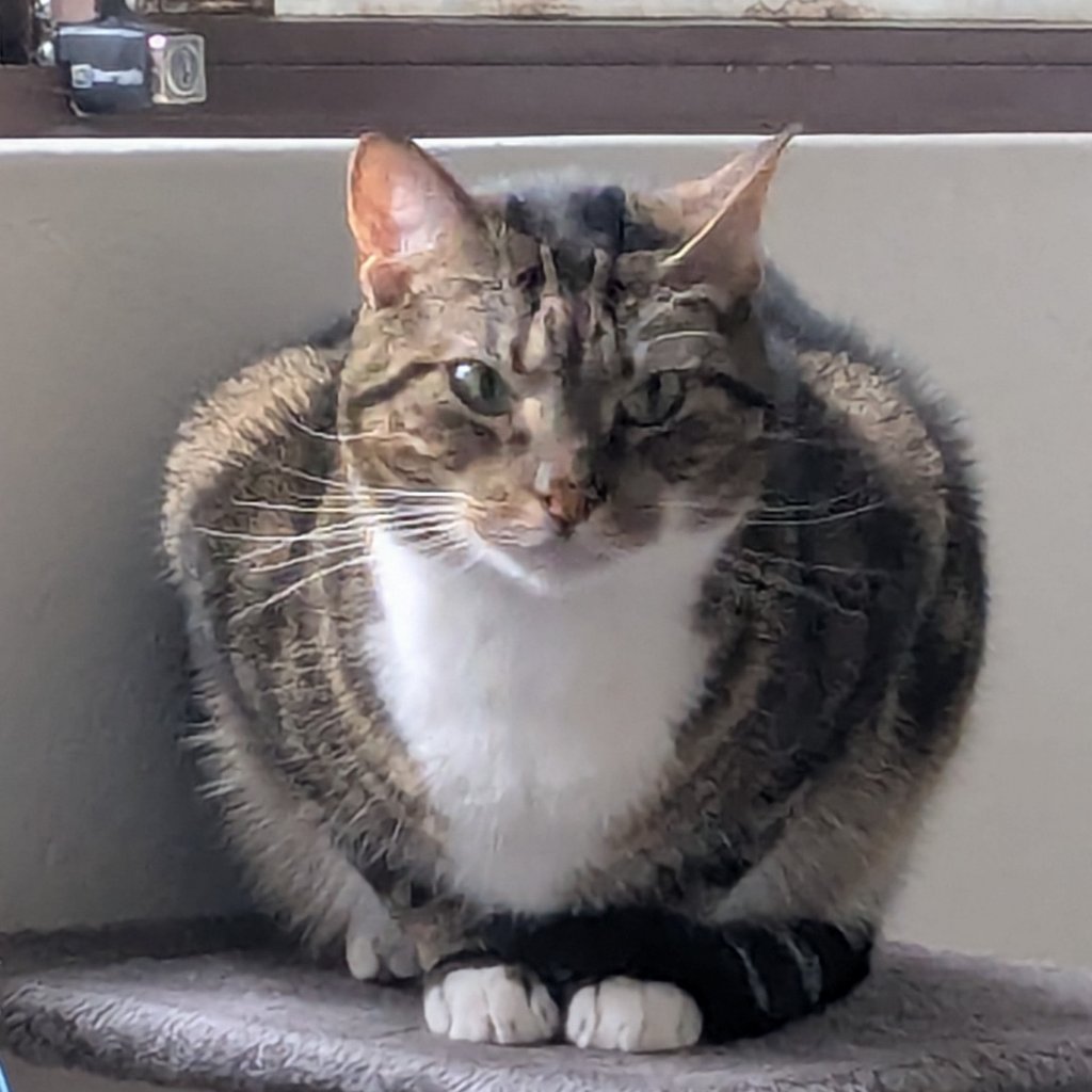 Frank