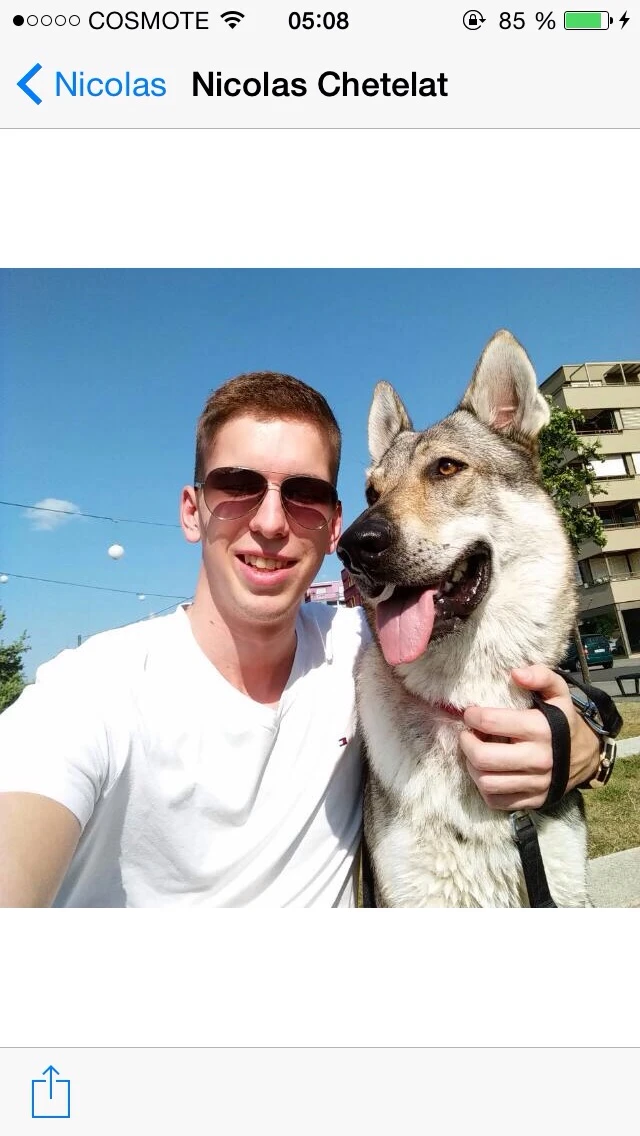 image-6