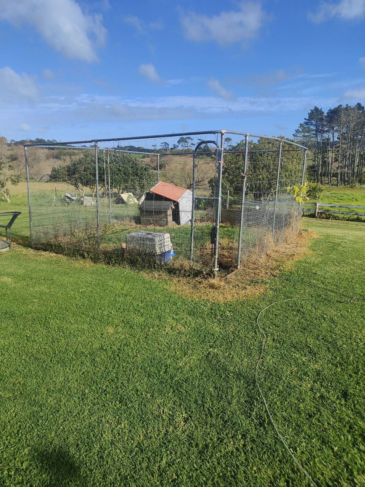 image-7