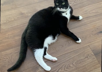 Carlos 