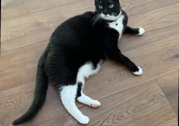Carlos