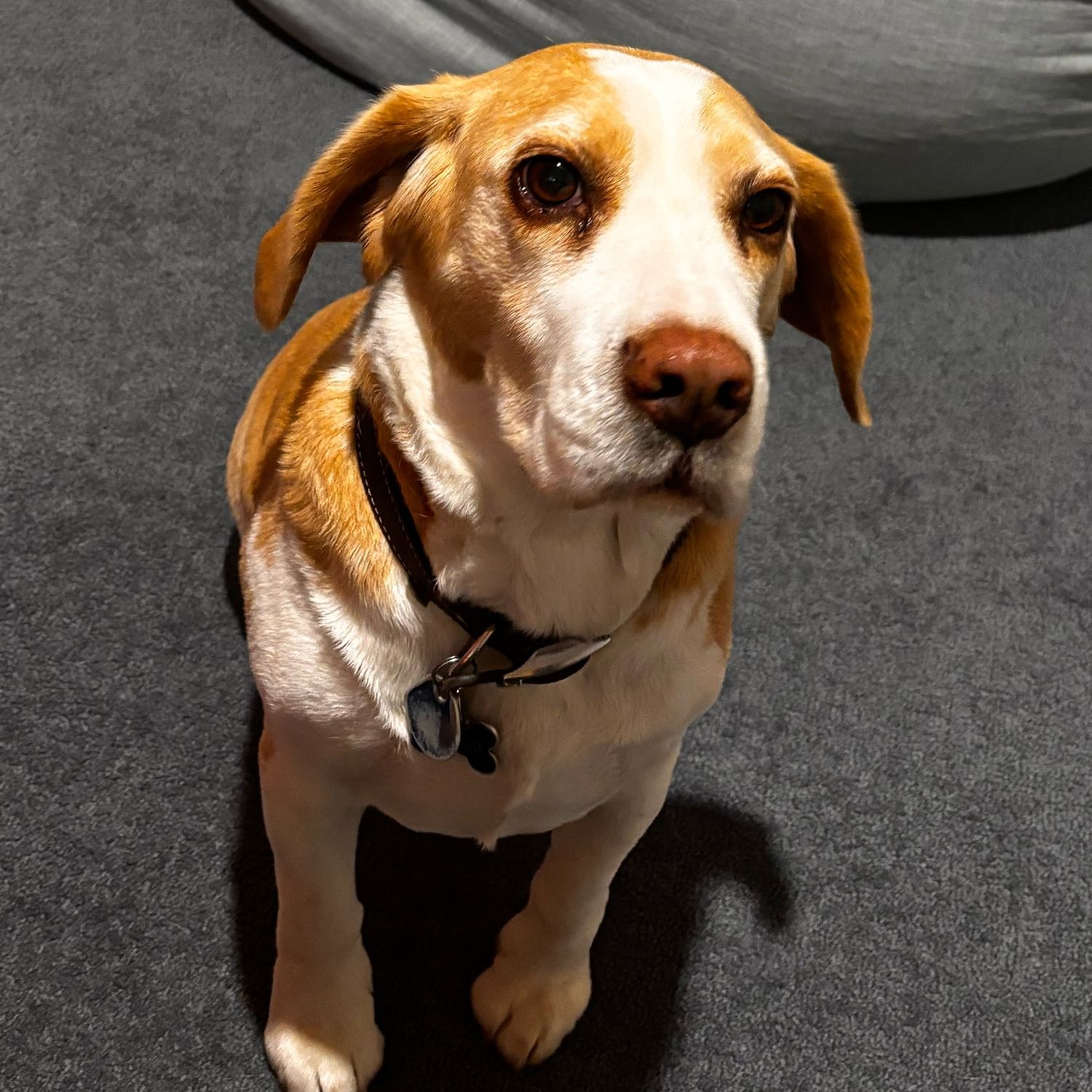 Max