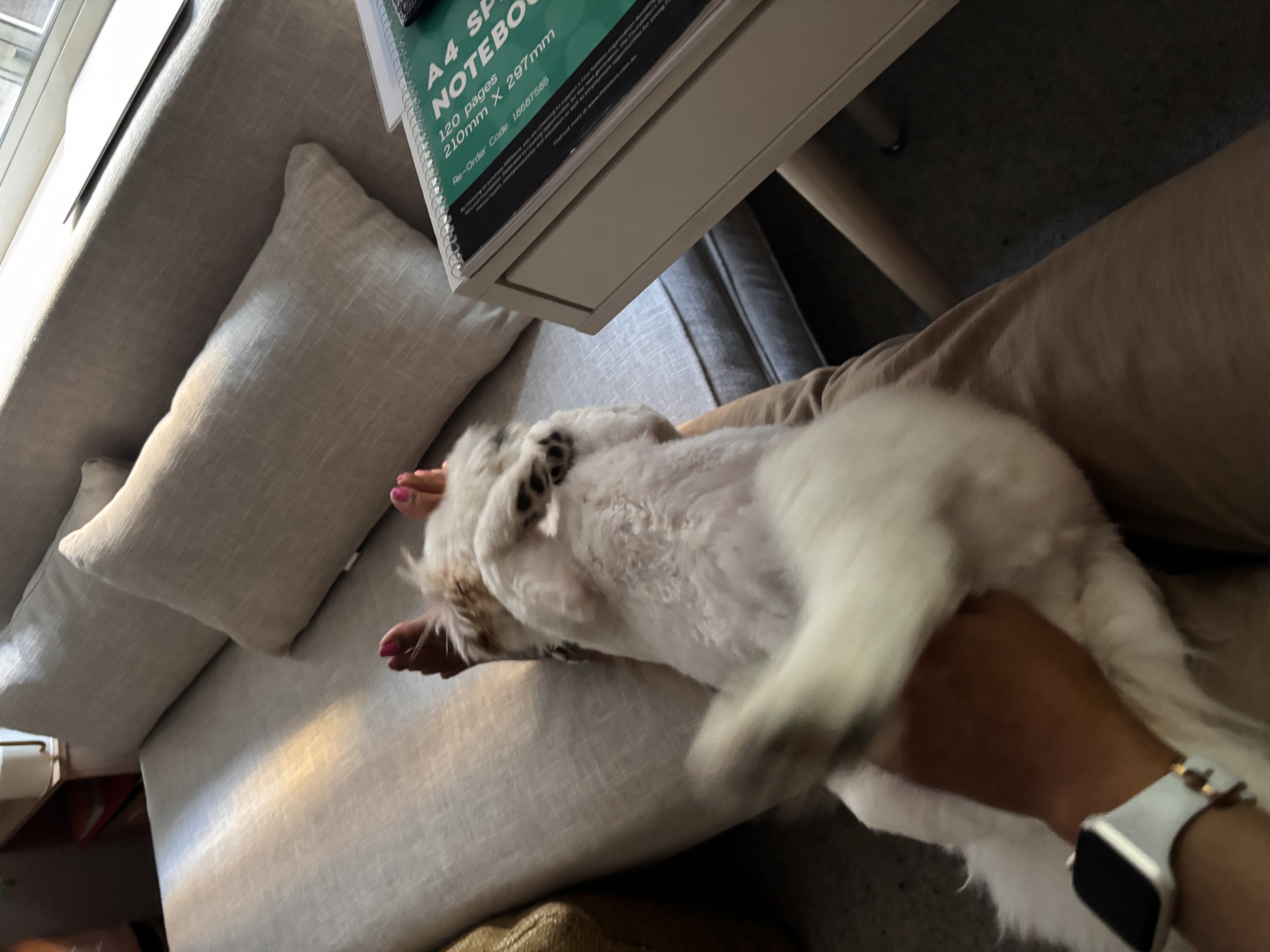 image-11