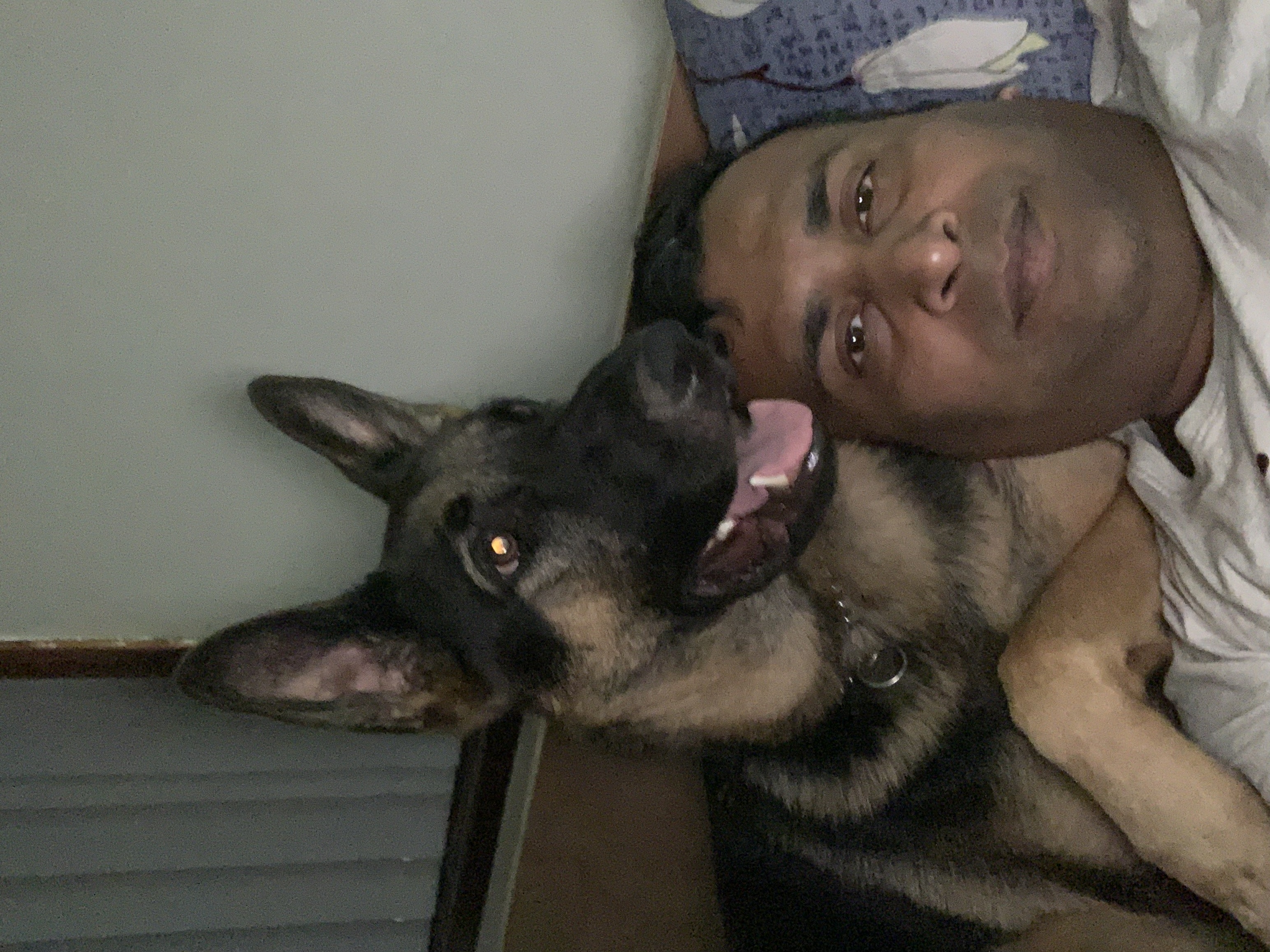 image-20