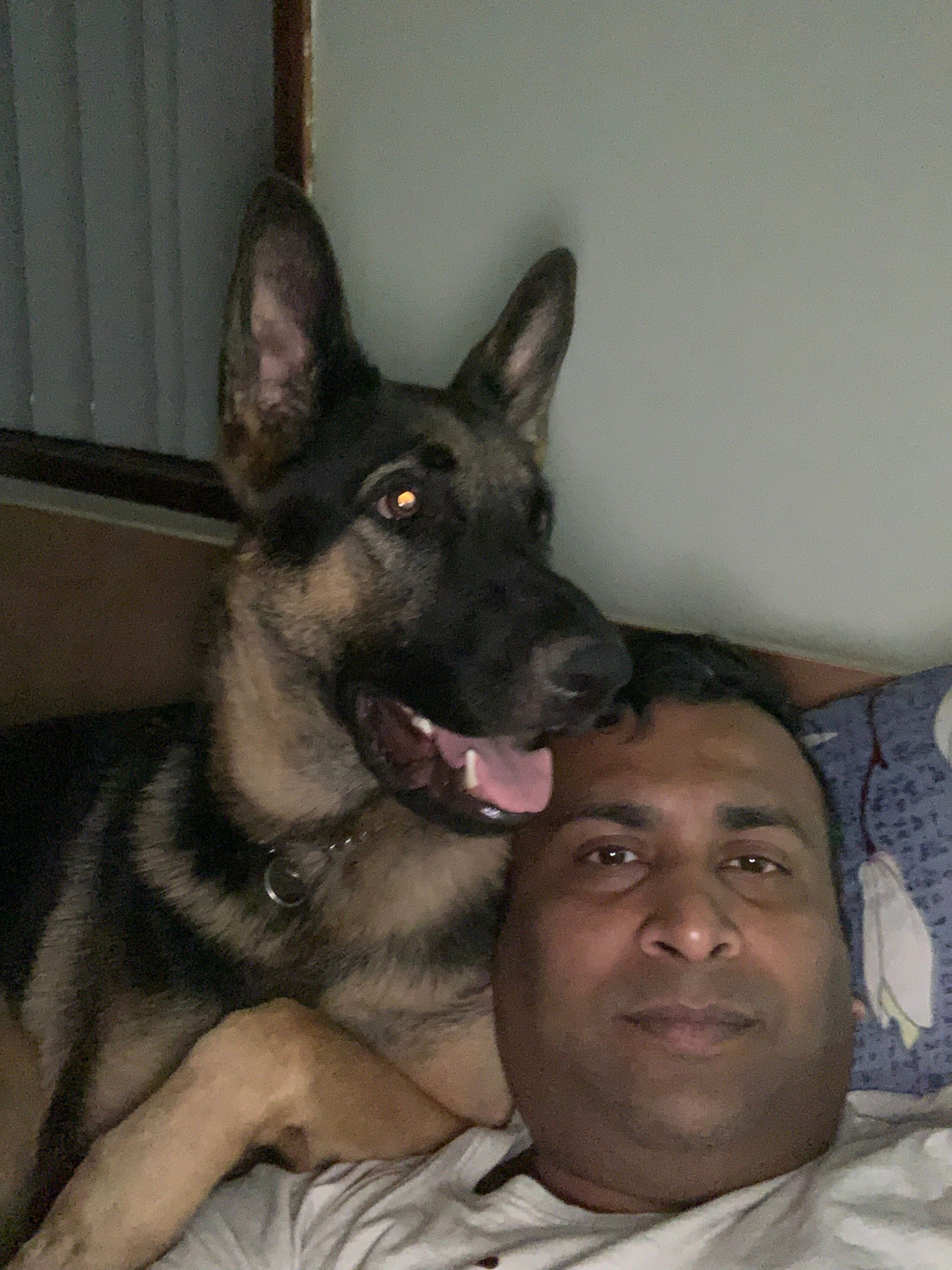 image-20