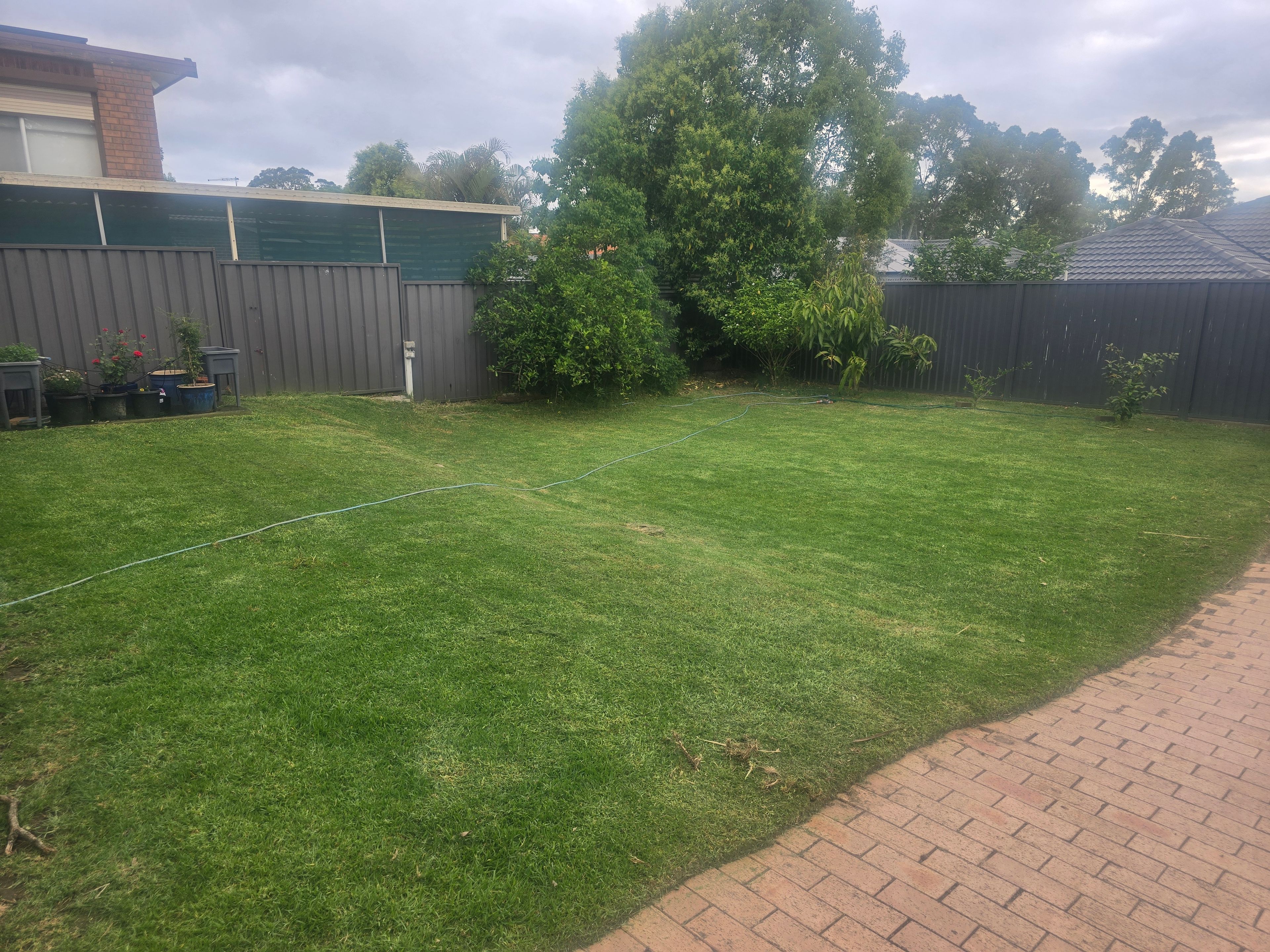image-8