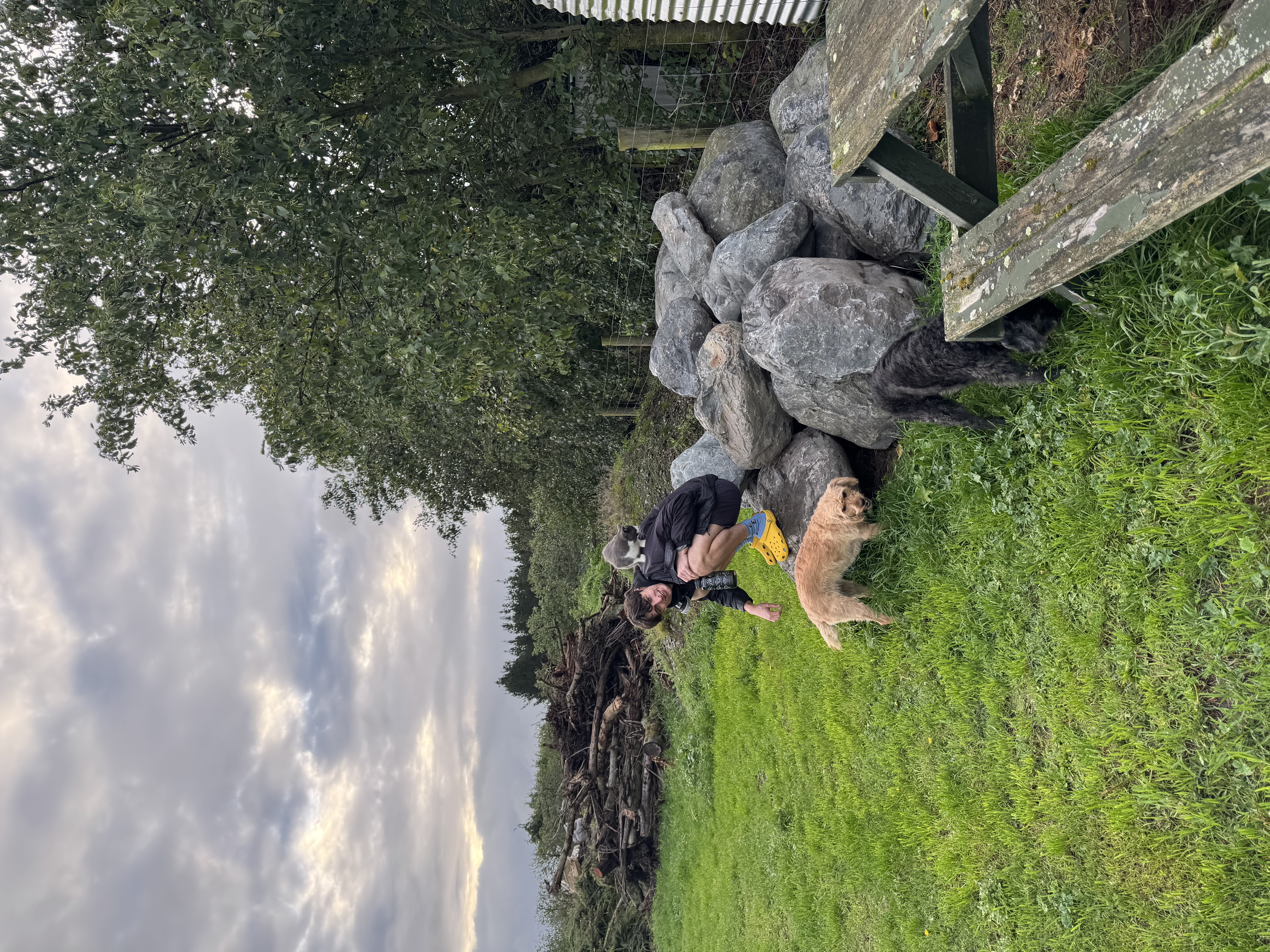 image-4
