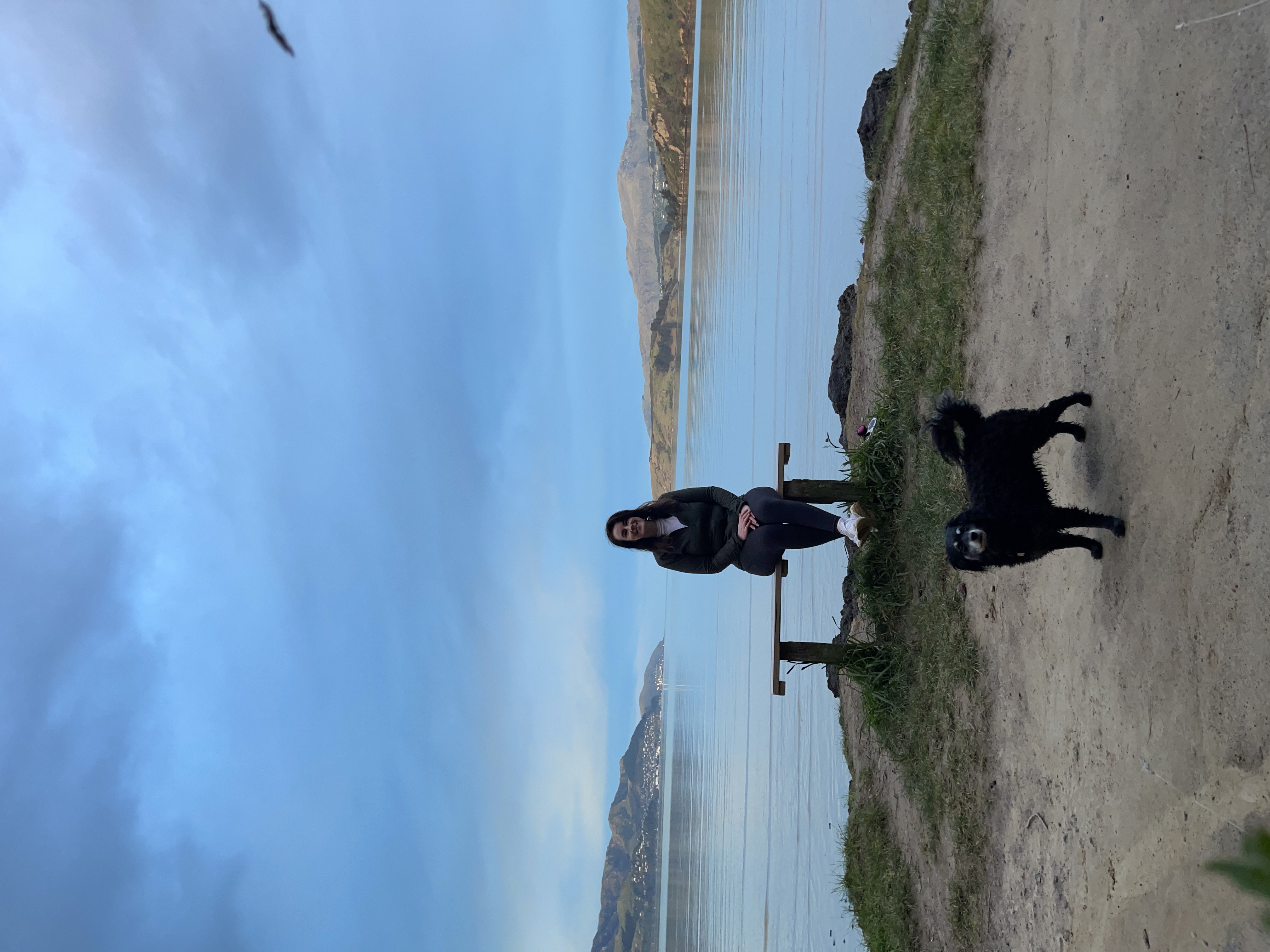image-6
