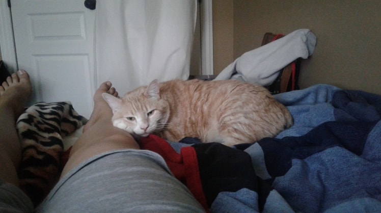 image-6
