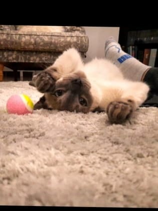 image-8