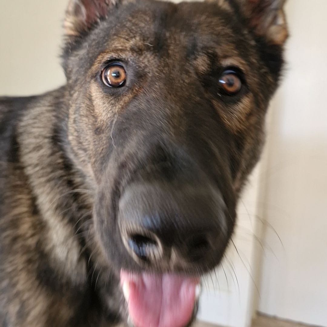 Von